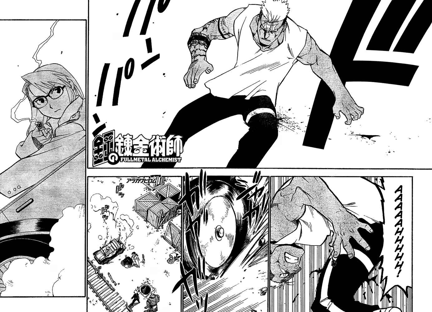 Page 3 Chapter 48 Fullmetal Alchemist