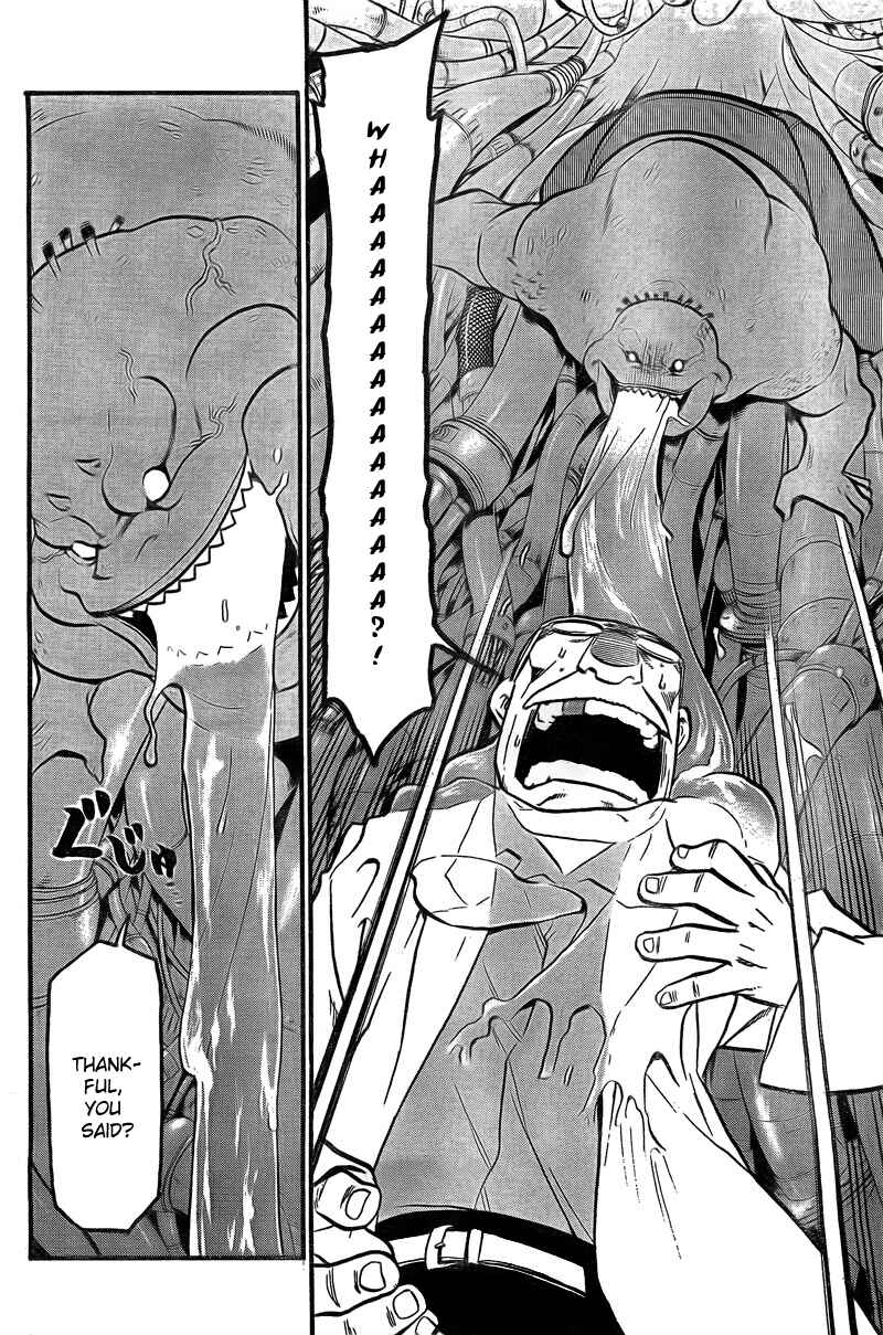 Page 21 Chapter 101 Fullmetal Alchemist