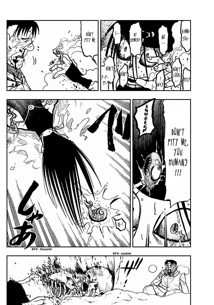 Page 29 Chapter 79 Fullmetal Alchemist