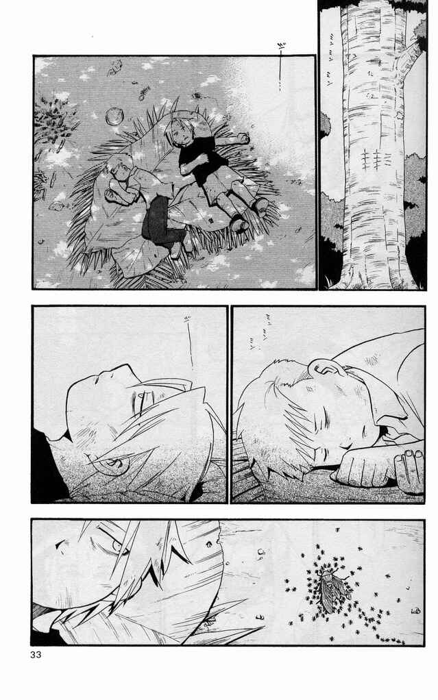 Page 28 Chapter 22 Fullmetal Alchemist