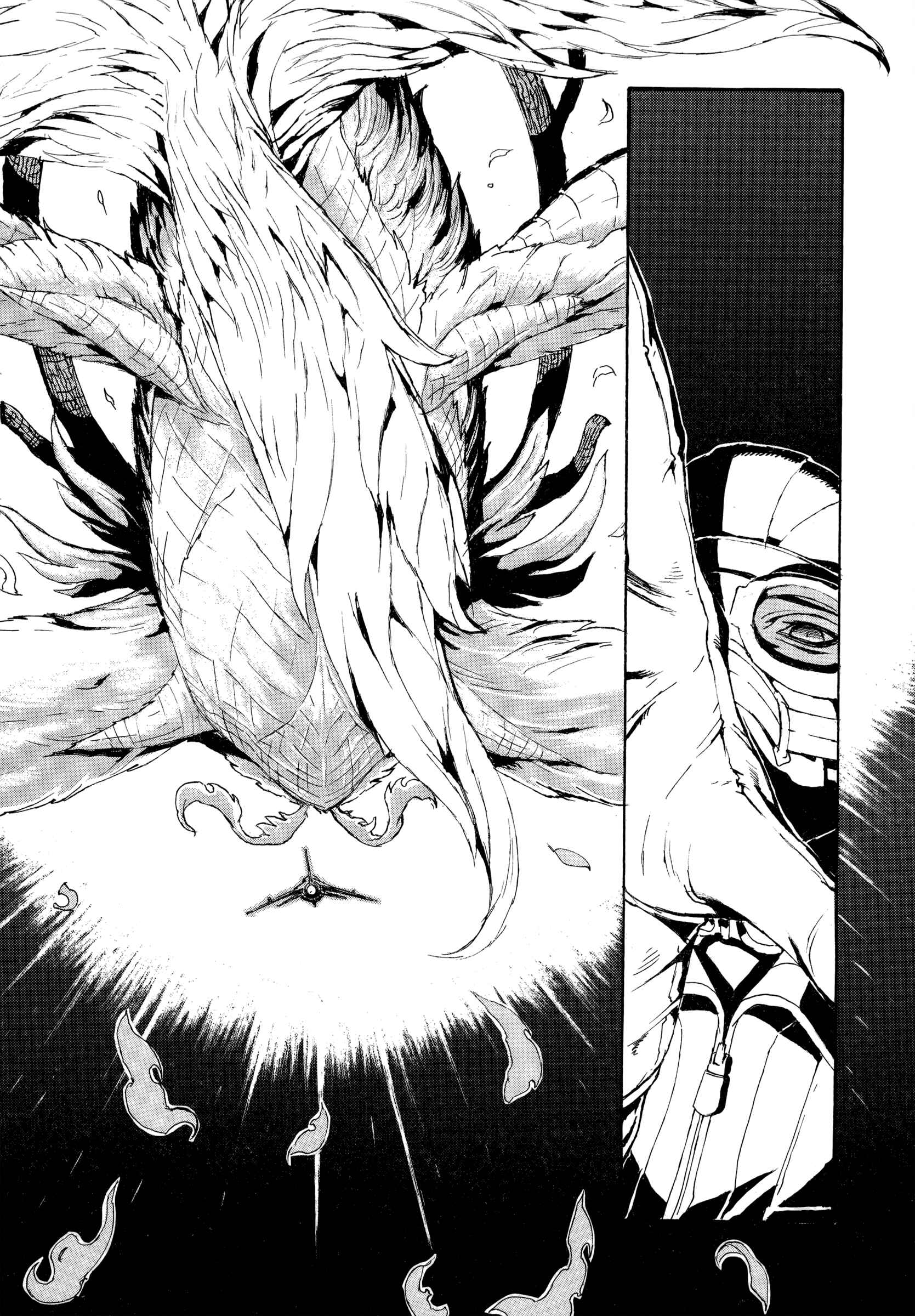 Page 13 Chapter 10 Eisen Flügel