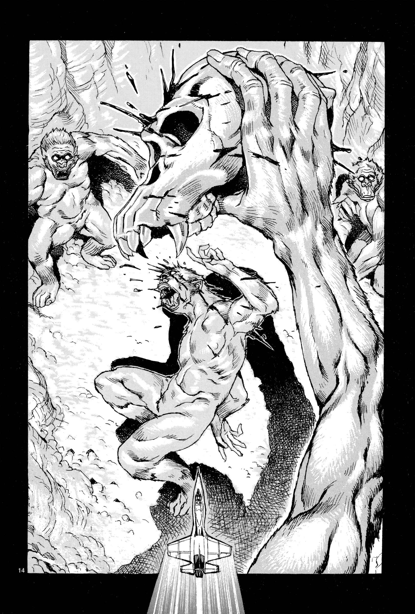 Page 14 Chapter 10 Eisen Flügel