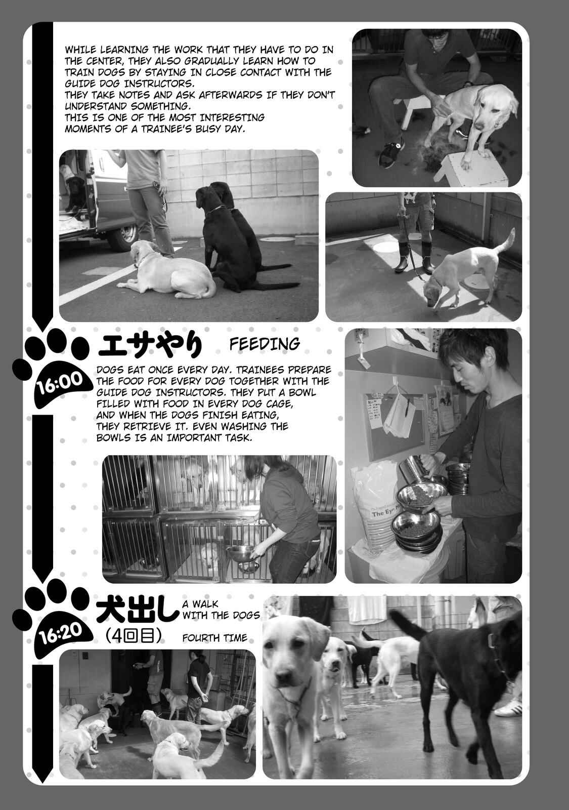 Page 29 Chapter 7 Nao Go Straight -Guide Dog Trainer-