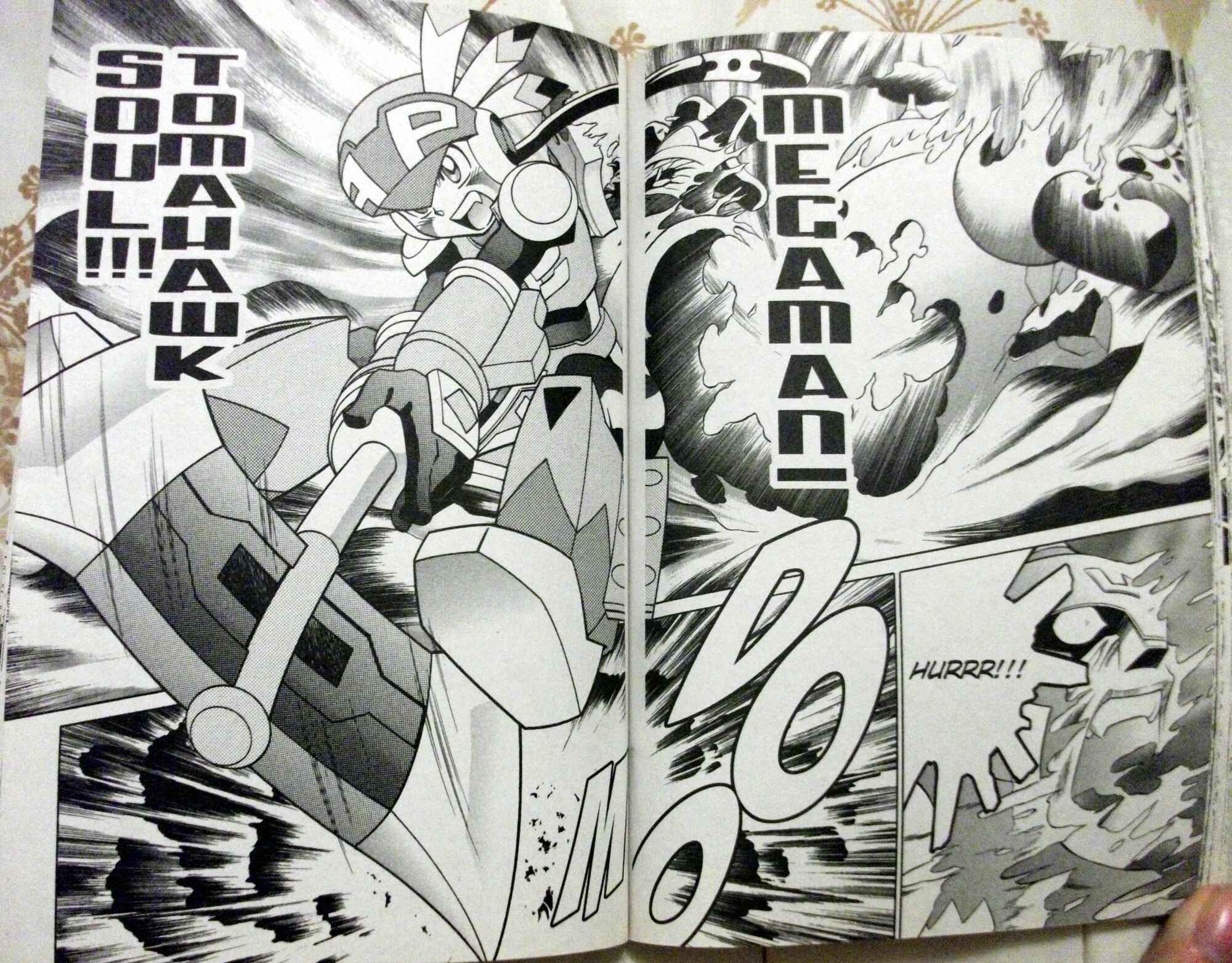 Page 14 Chapter 51 Mega Man Battle Network