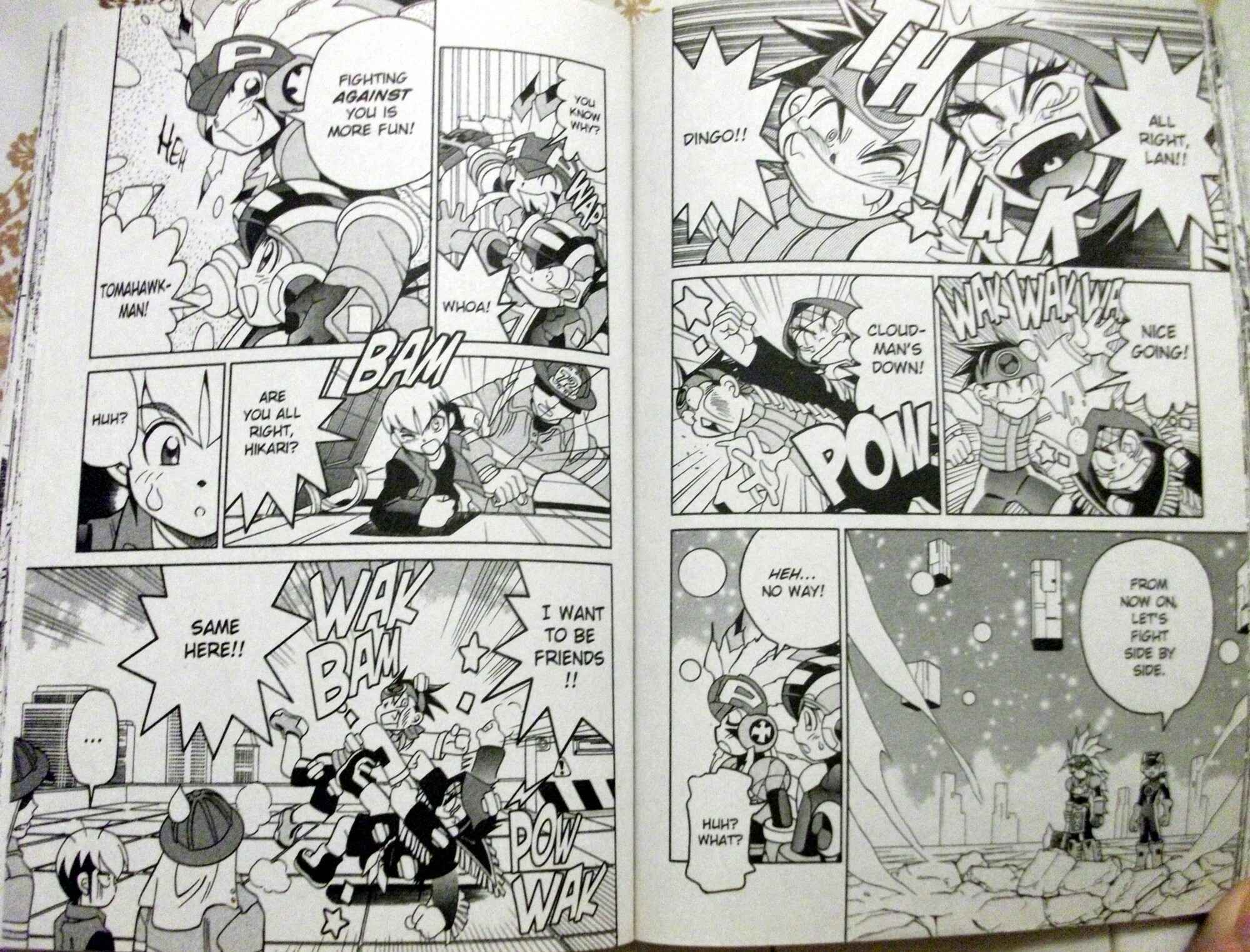 Page 15 Chapter 51 Mega Man Battle Network