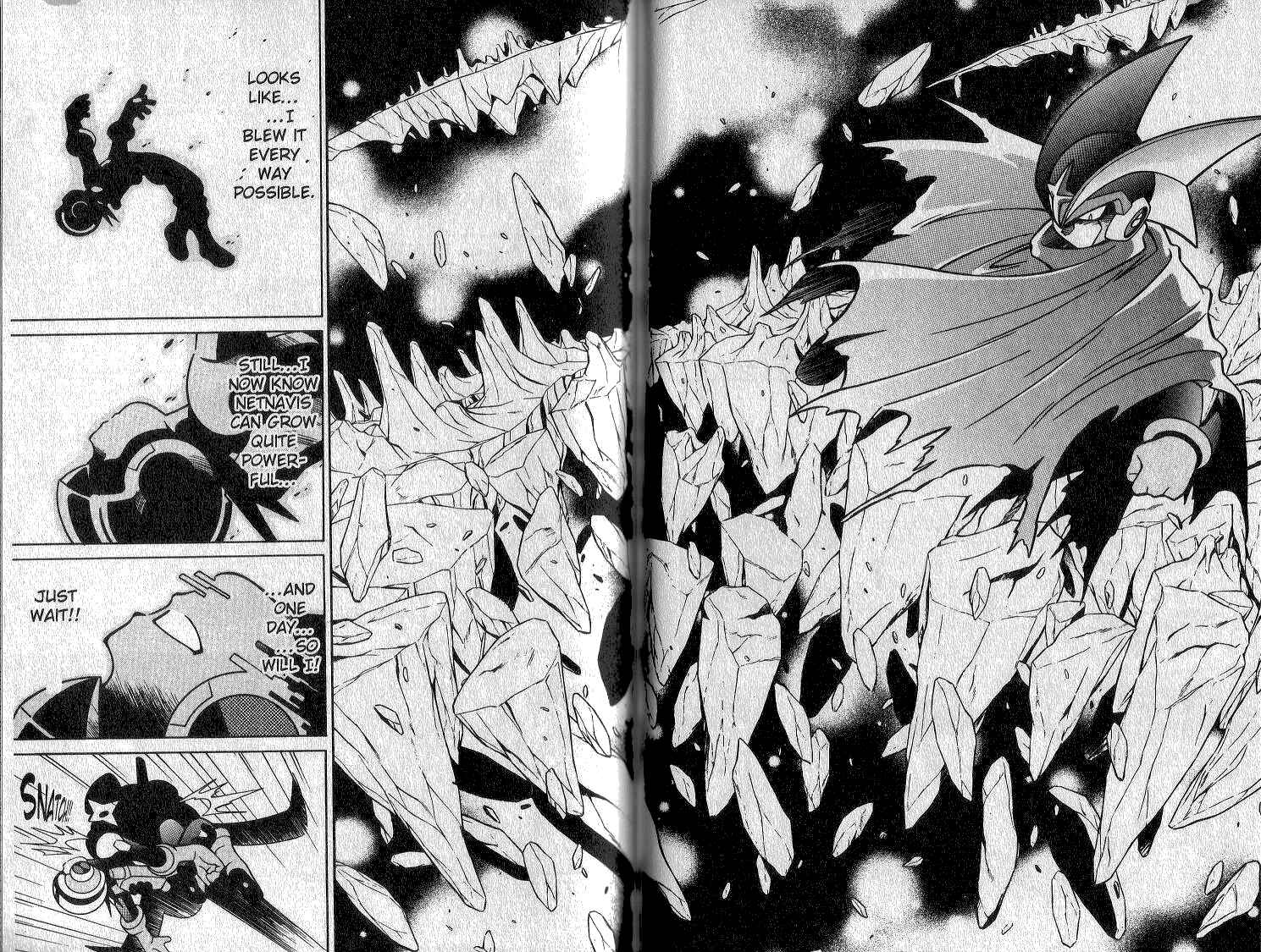 Page 13 Chapter 14 Mega Man Battle Network