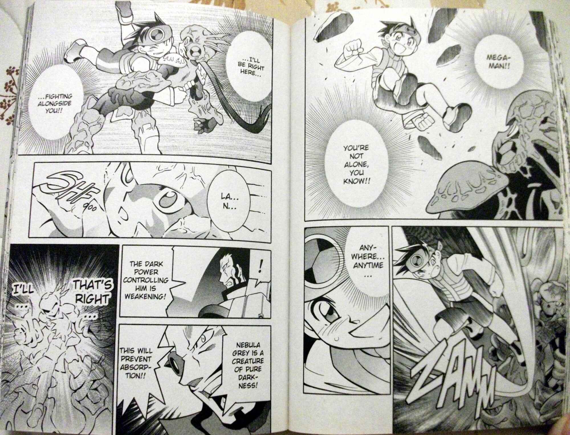 Page 14 Chapter 54 Mega Man Battle Network