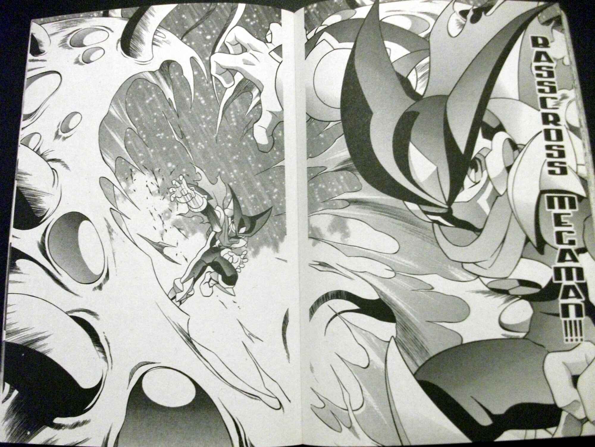 Page 15 Chapter 61 Mega Man Battle Network