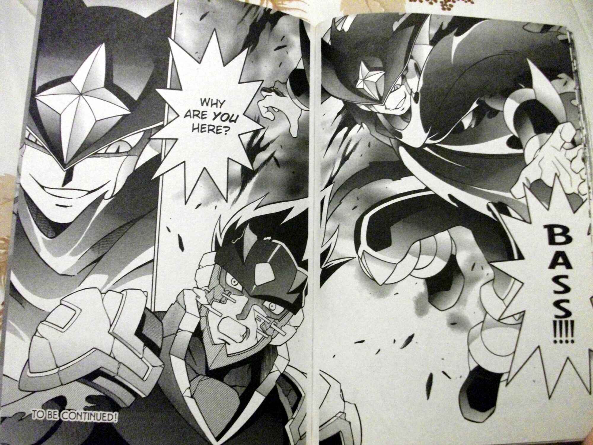 Page 15 Chapter 55 Mega Man Battle Network