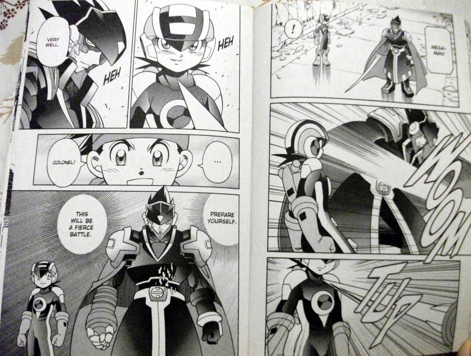 Page 16 Chapter 52 Mega Man Battle Network