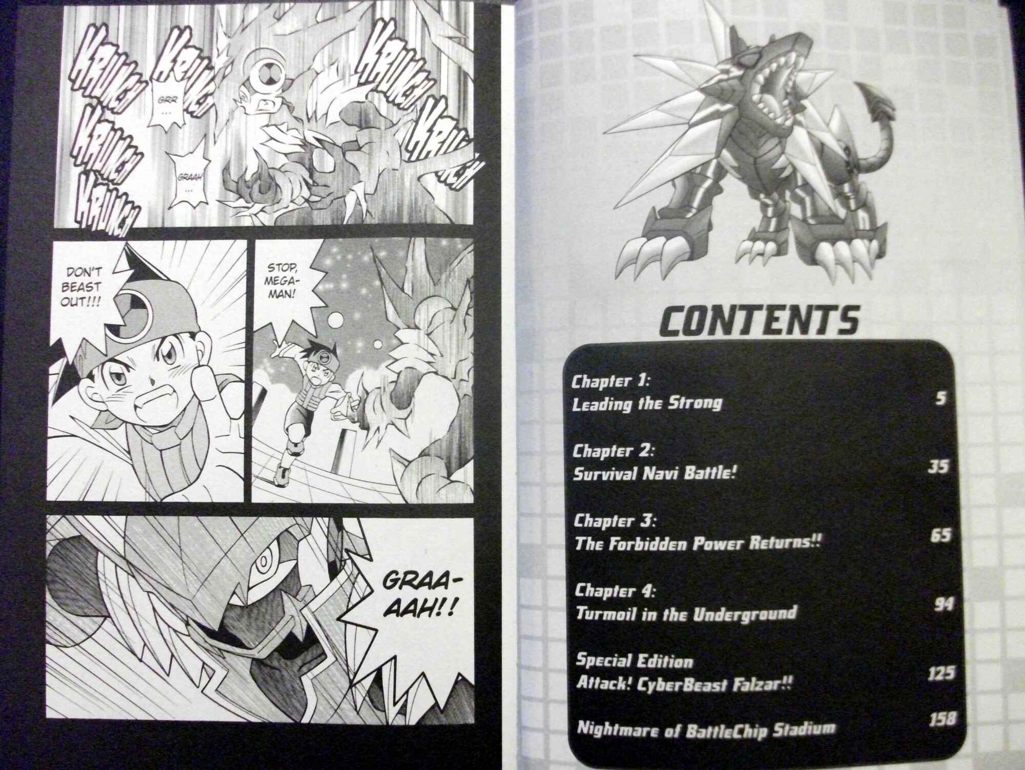 Page 1 Chapter 62 Mega Man Battle Network