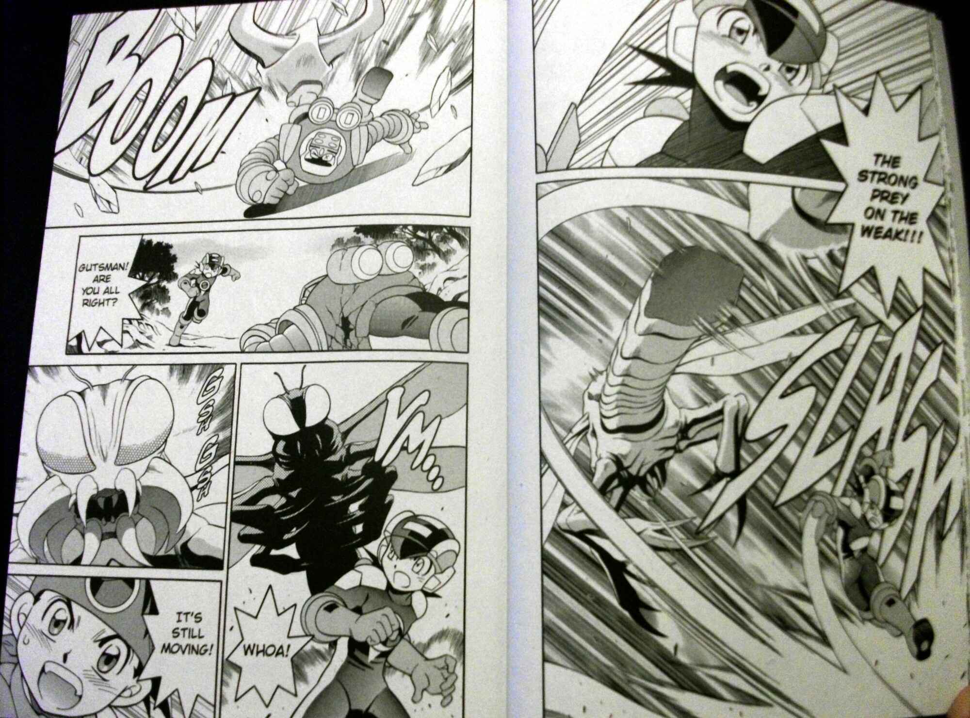 Page 10 Chapter 62 Mega Man Battle Network