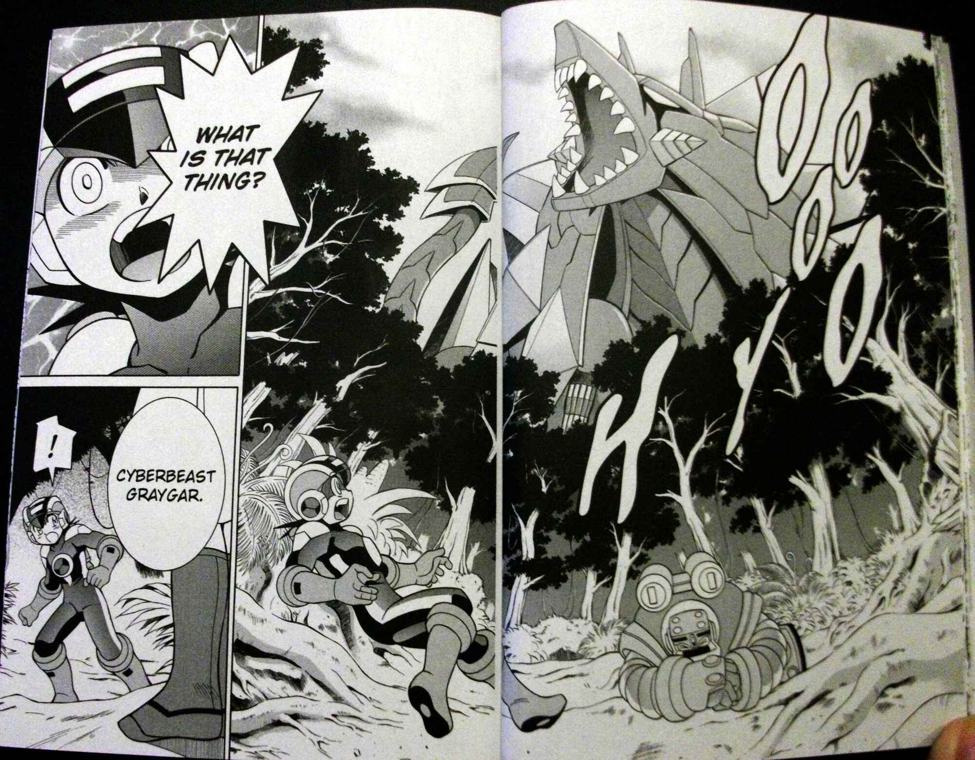 Page 12 Chapter 62 Mega Man Battle Network