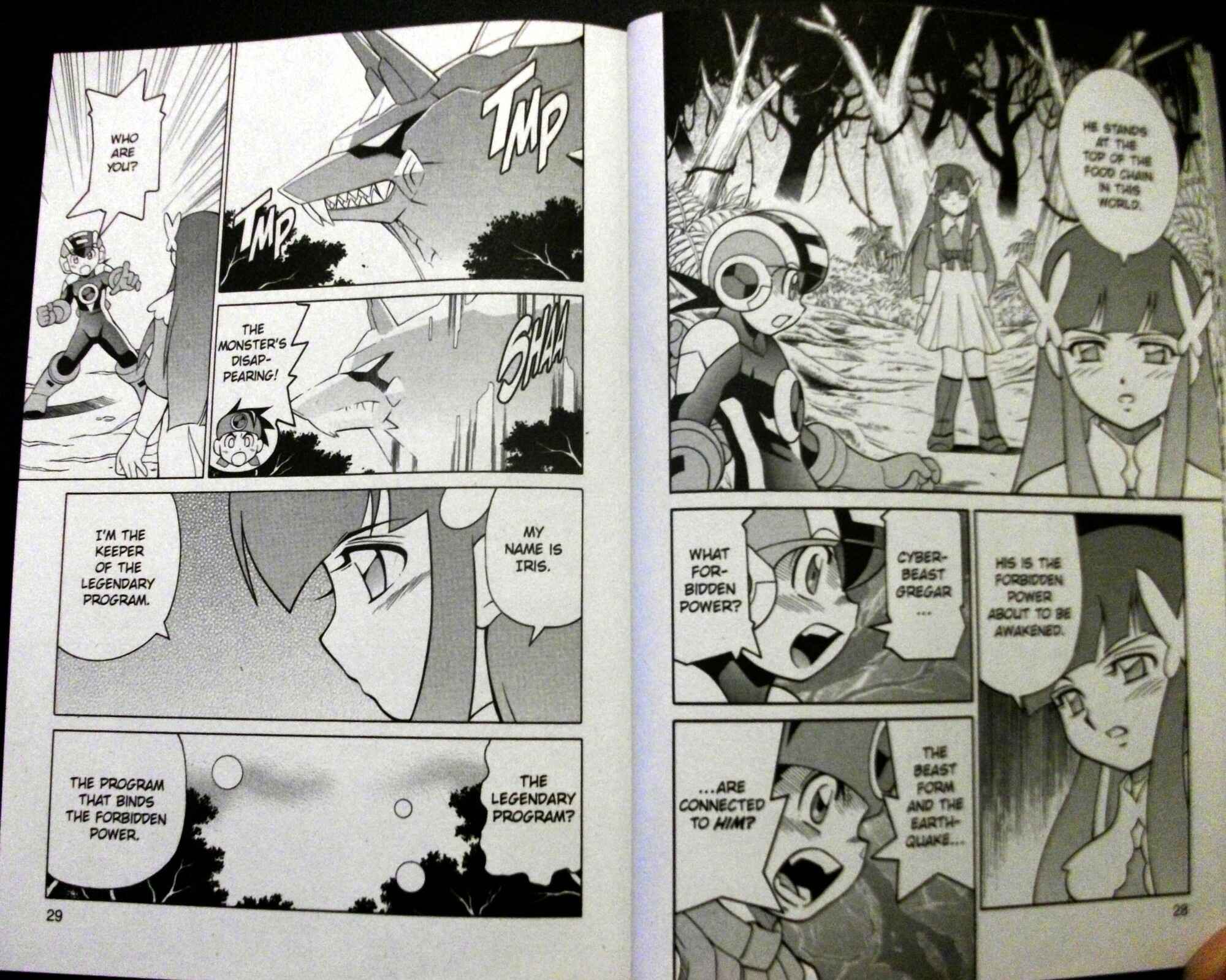 Page 13 Chapter 62 Mega Man Battle Network
