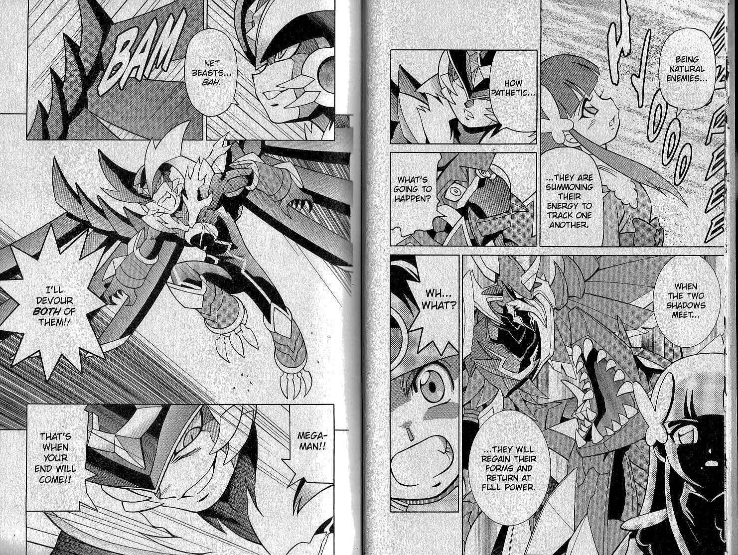 Page 5 Chapter 67 Mega Man Battle Network