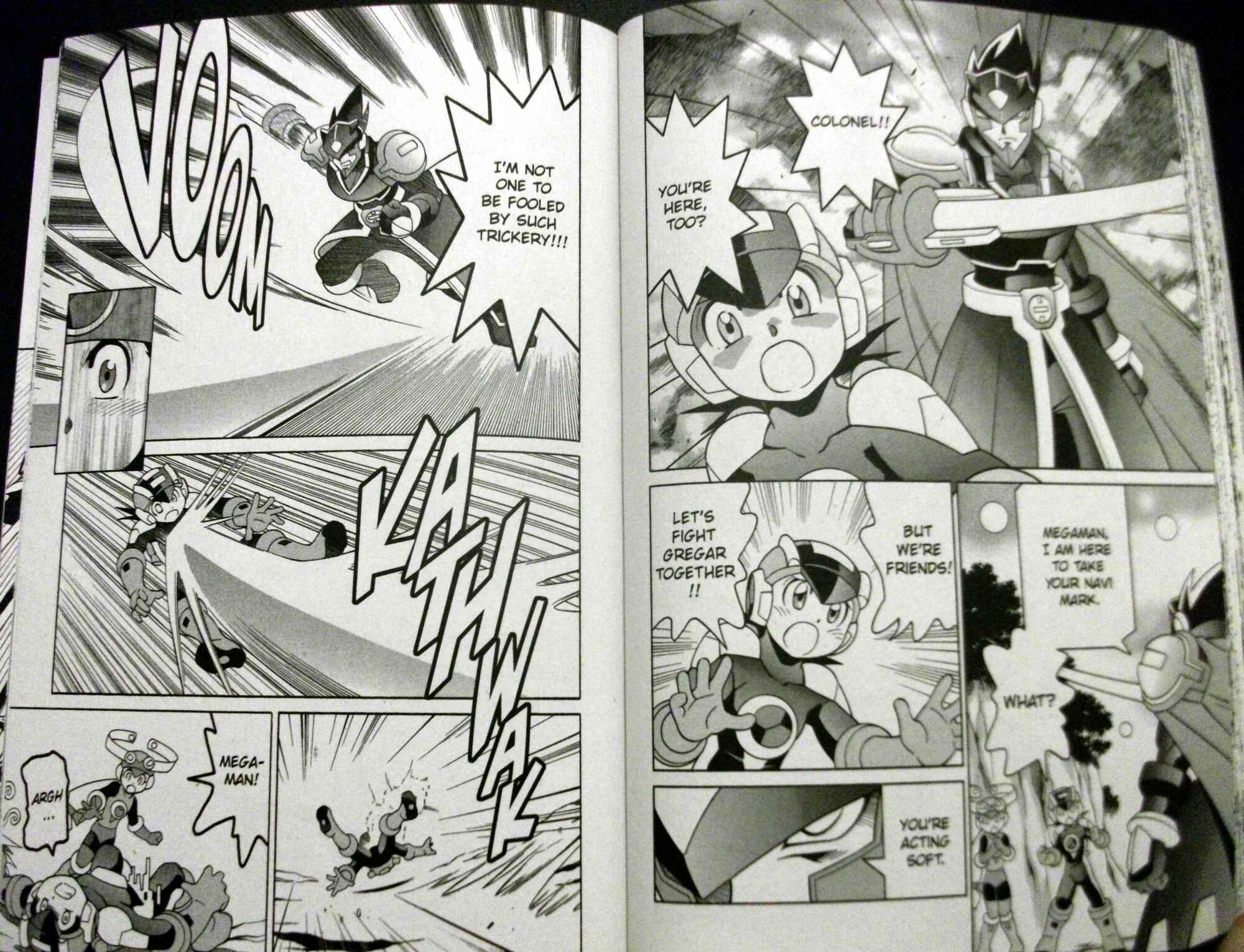 Page 13 Chapter 63 Mega Man Battle Network