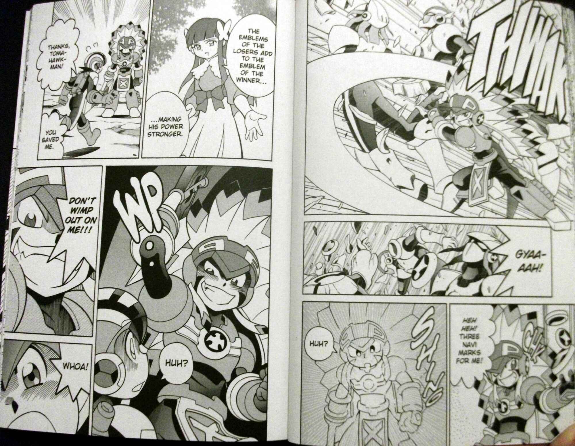 Page 5 Chapter 63 Mega Man Battle Network