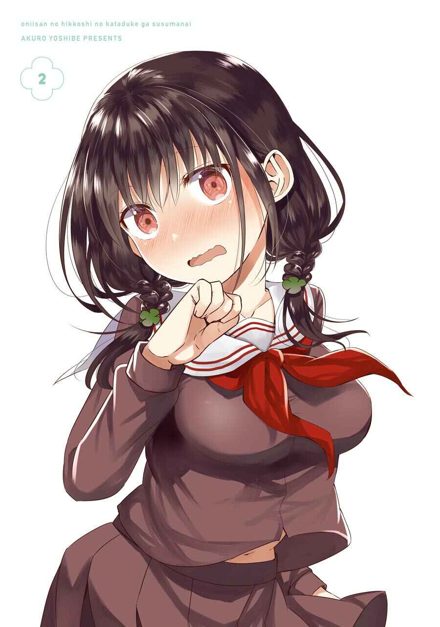 Page 3 Chapter 8 Oniisan no Hikkoshi no Katazuke ga Susumanai
