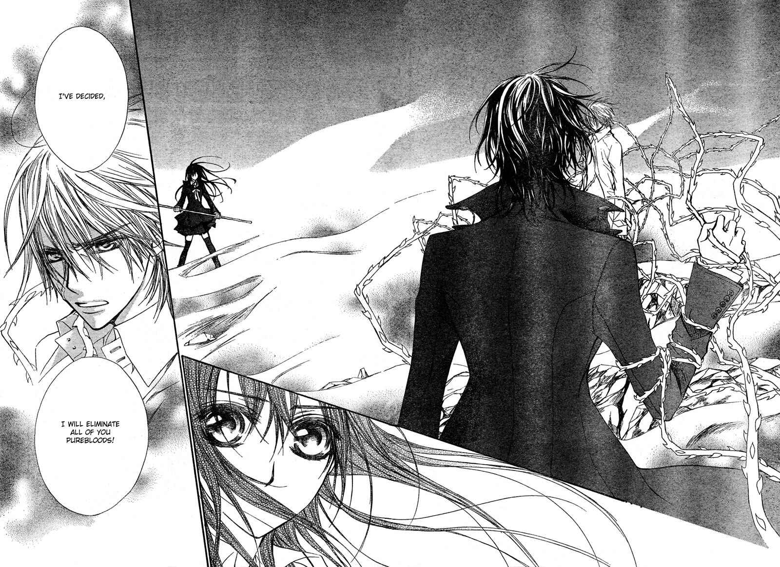 Page 30 Chapter 45 Vampire Knight