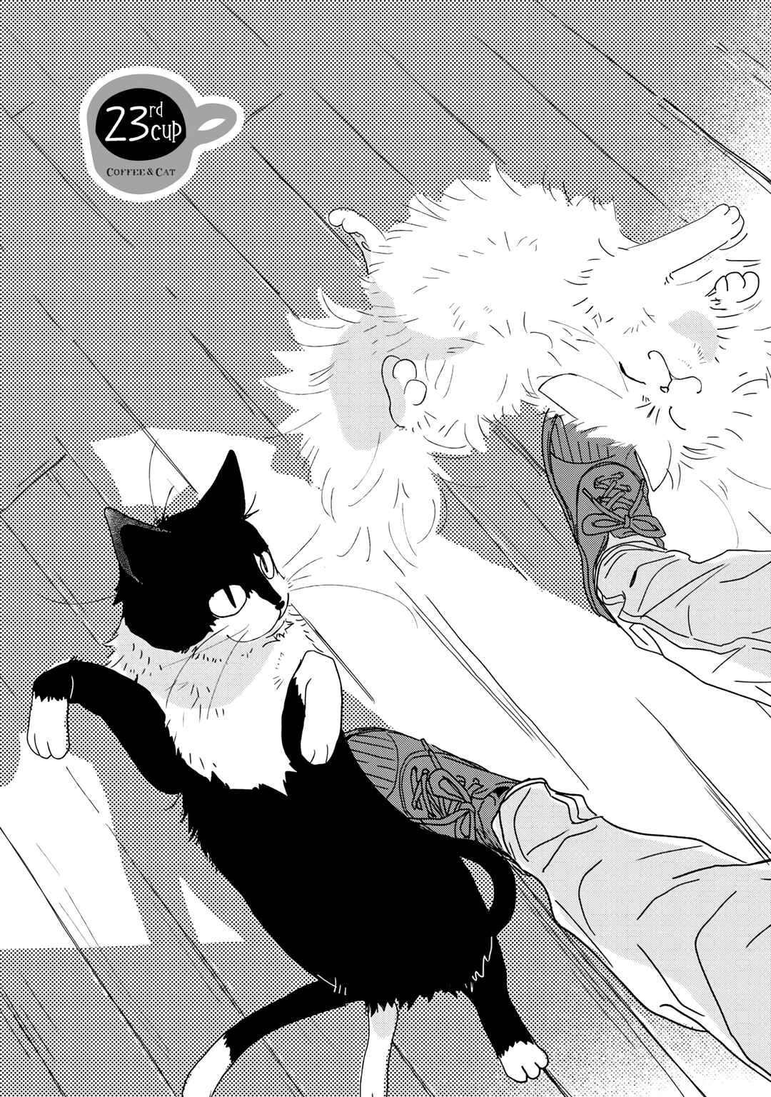 Page 3 Chapter 23 Coffee & Cat