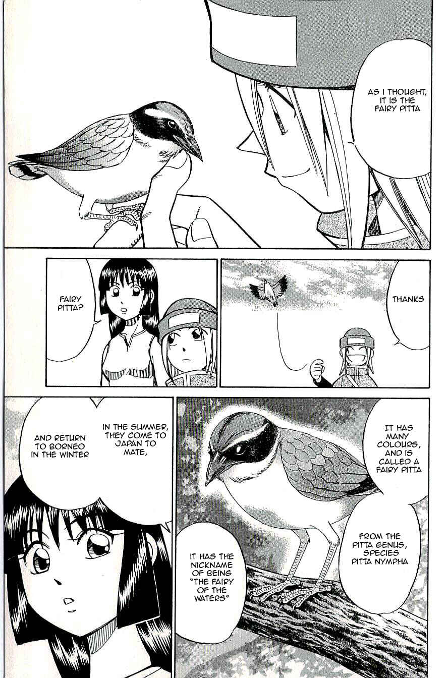 Page 31 Chapter 11 C.M.B.
