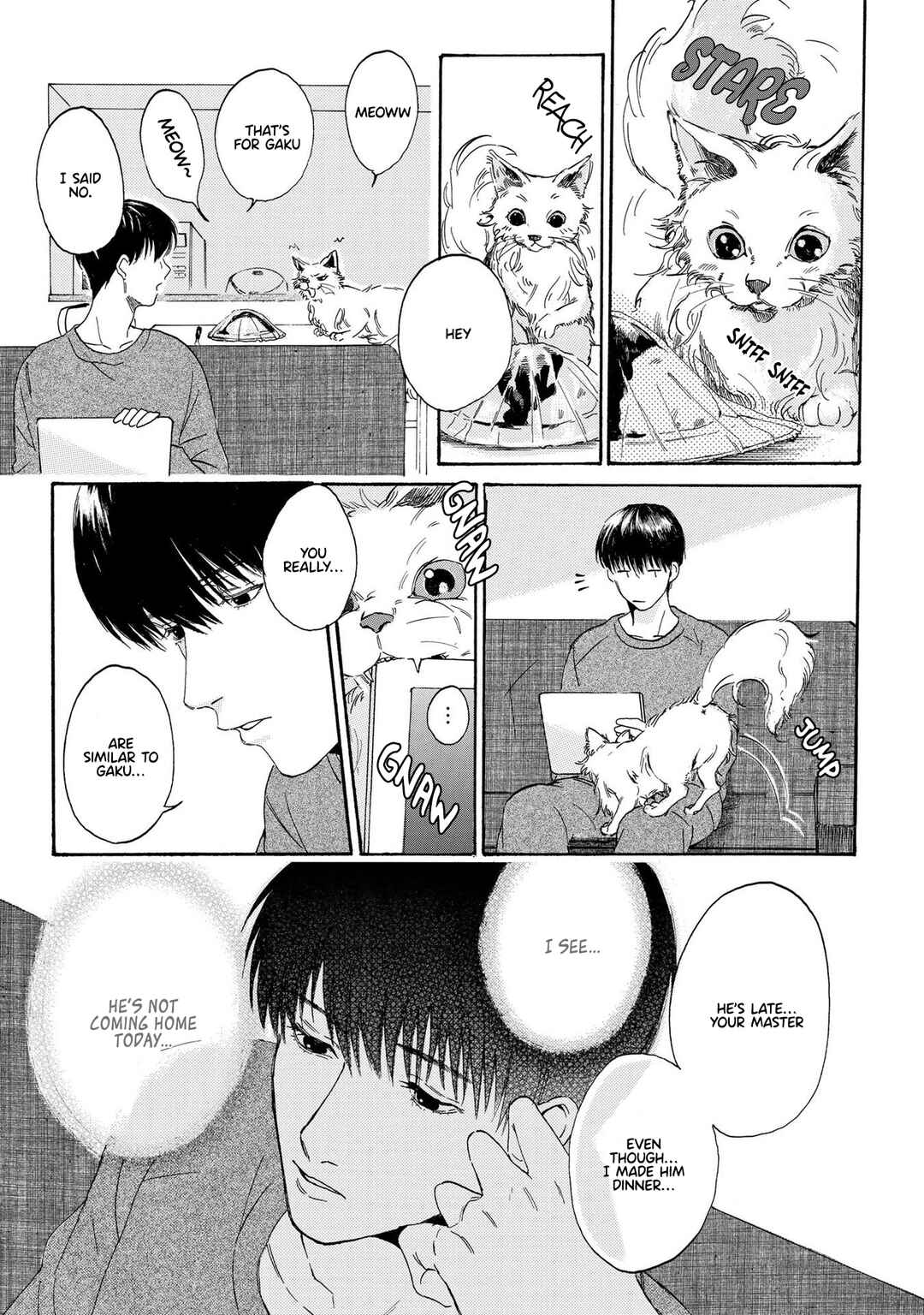 Page 25 Chapter 2 Dazzling Smiley Dog