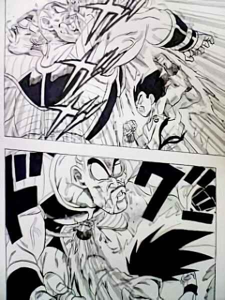 Page 13 Chapter 0.3 Dragon Ball Sai