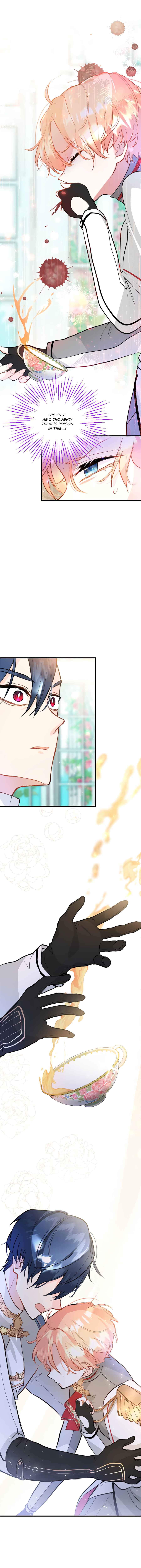 Page 14 Chapter 7 The Reason for the Twin Lady’s Disguise
