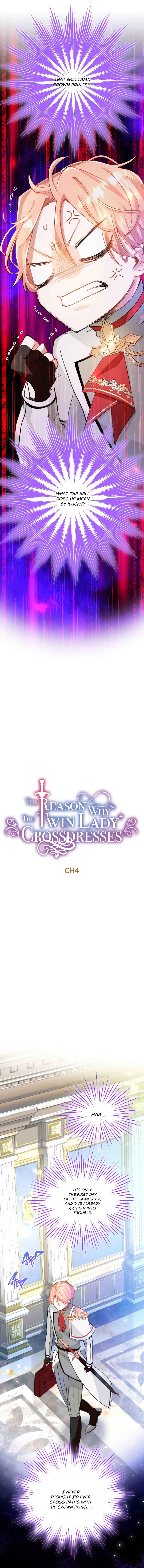 Page 4 Chapter 4 The Reason for the Twin Lady’s Disguise