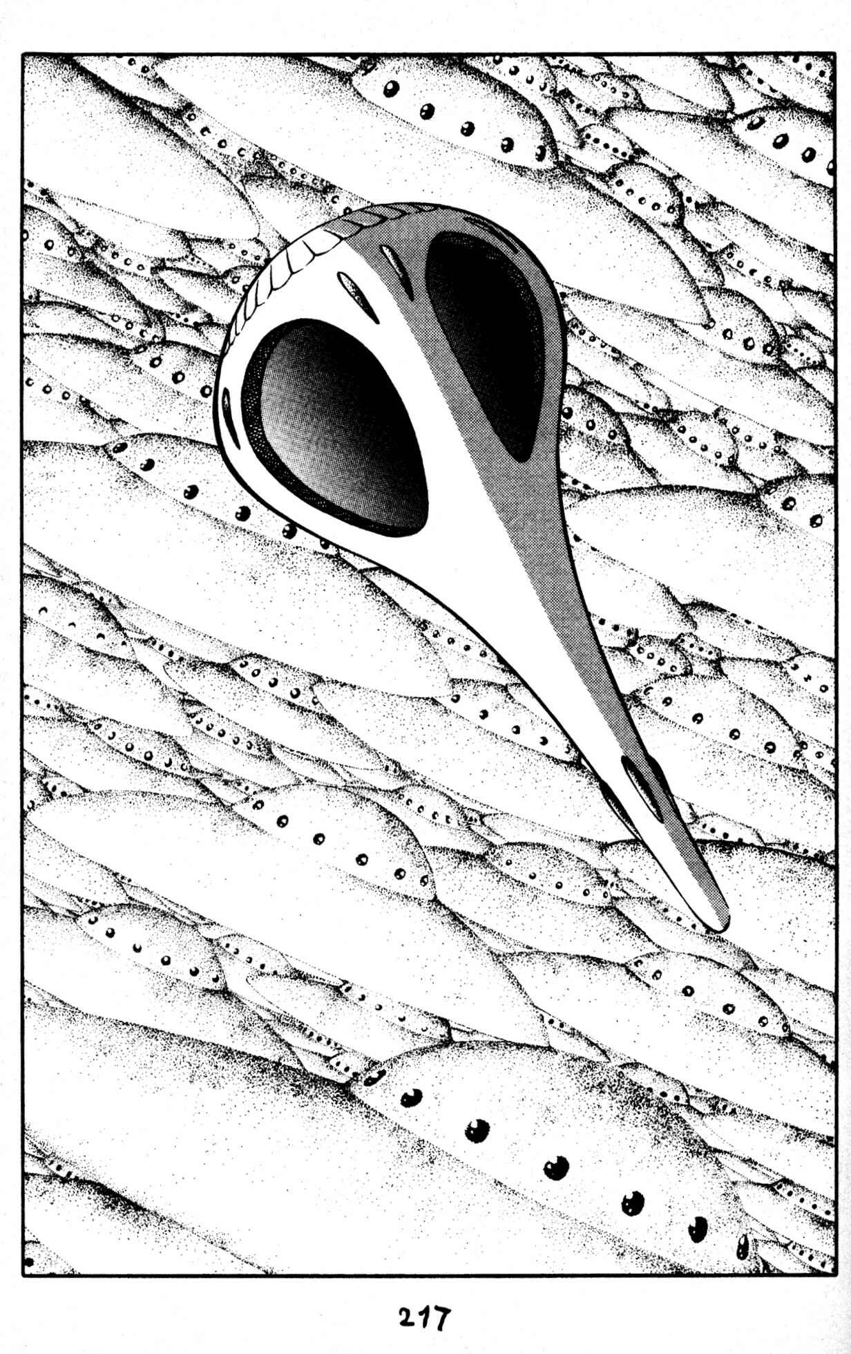 Page 16 Chapter 50 Skull Man (SHIMAMOTO Kazuhiko)
