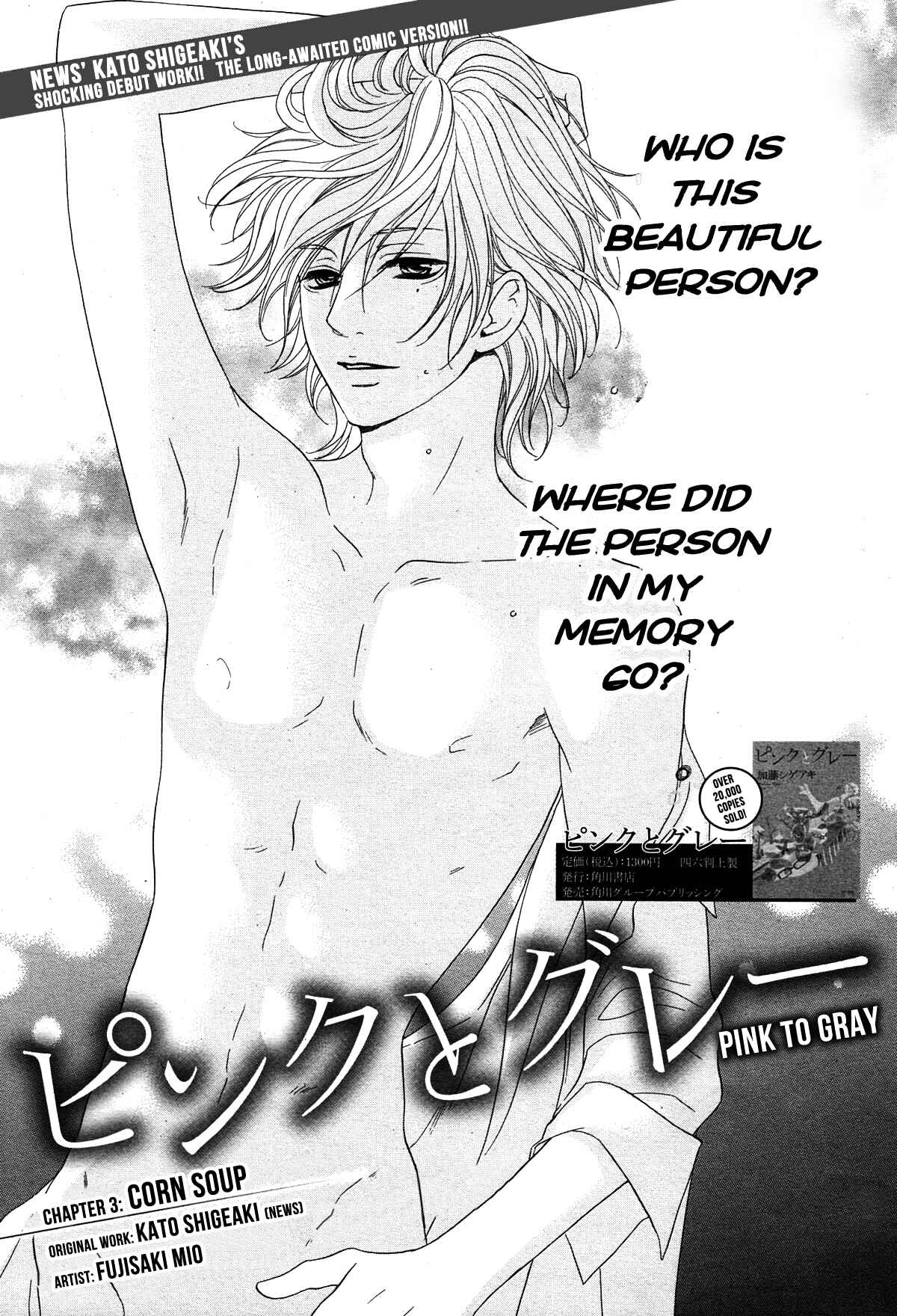Page 2 Chapter 3 Pink to Gray