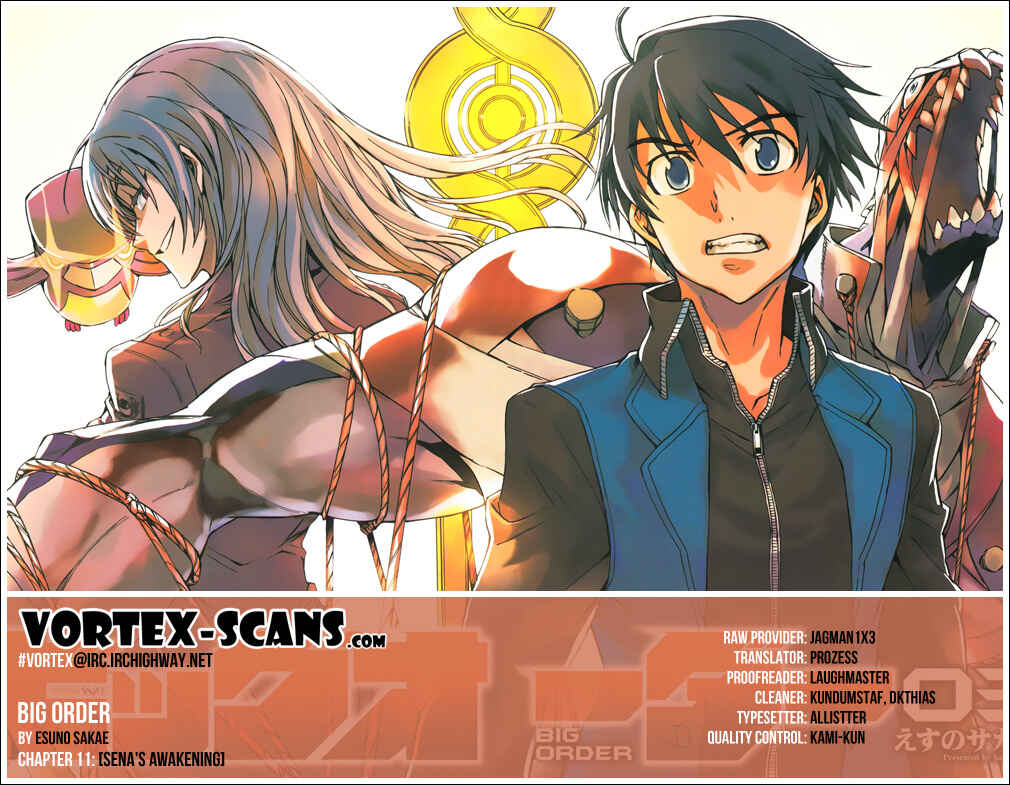 Page 1 Chapter 11 Big Order