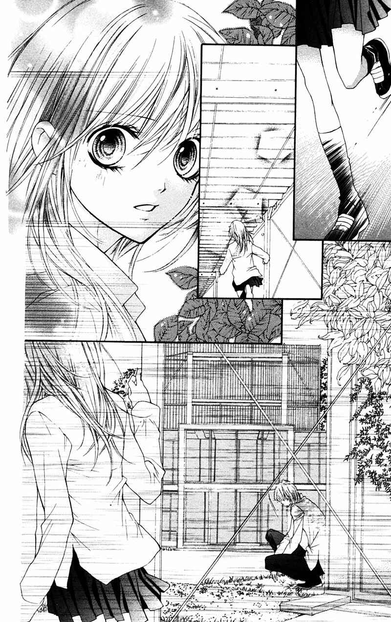 Page 22 Chapter 11 Taranta Ranta