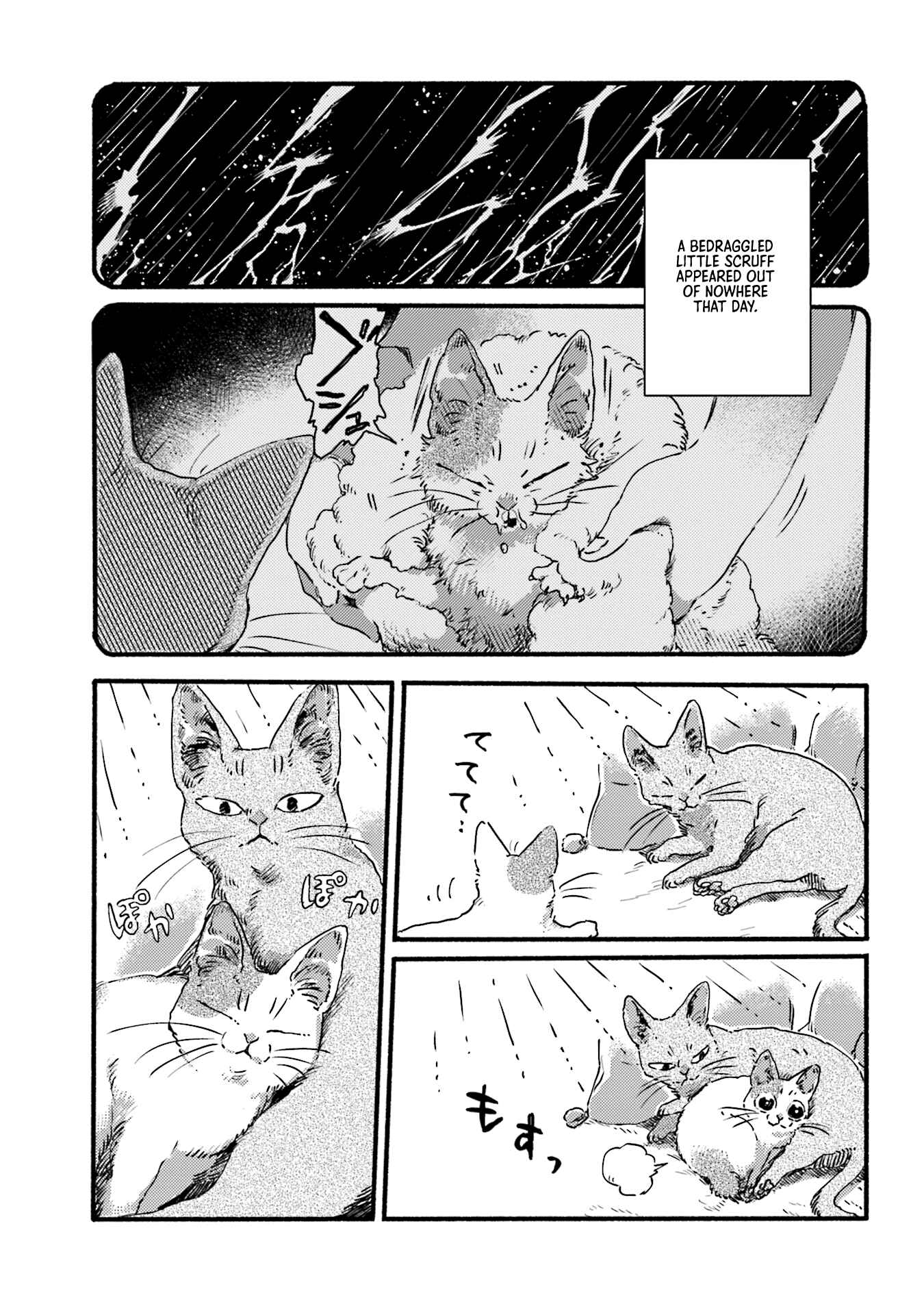 Page 5 Chapter 3 NekoDamari