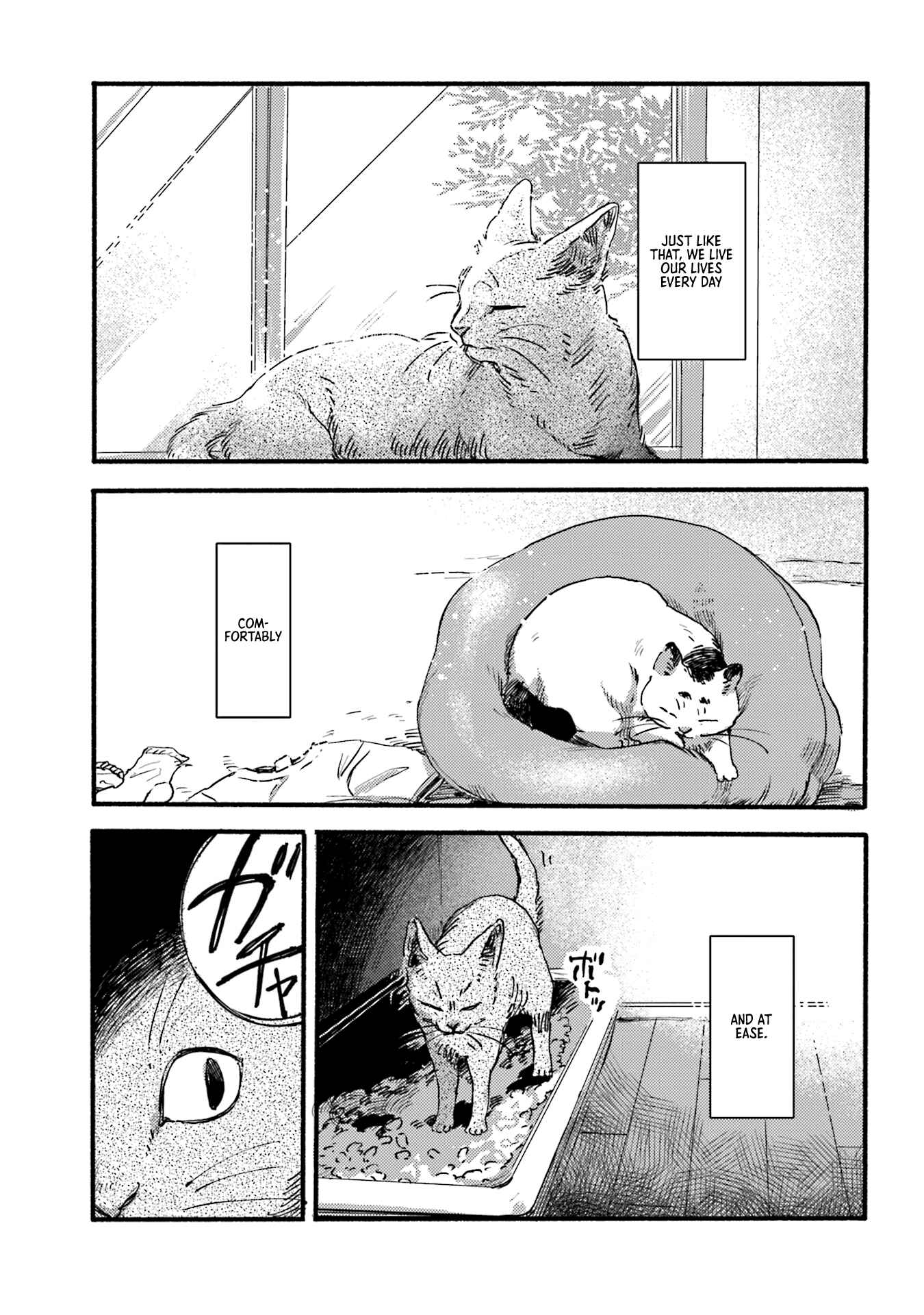 Page 5 Chapter 2 NekoDamari