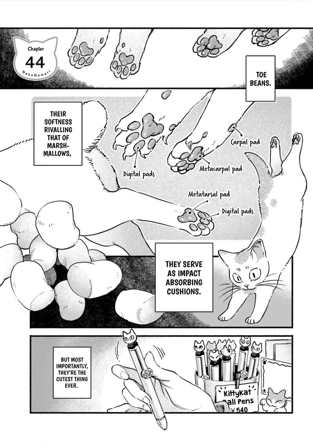 Page 1 Chapter 44 NekoDamari