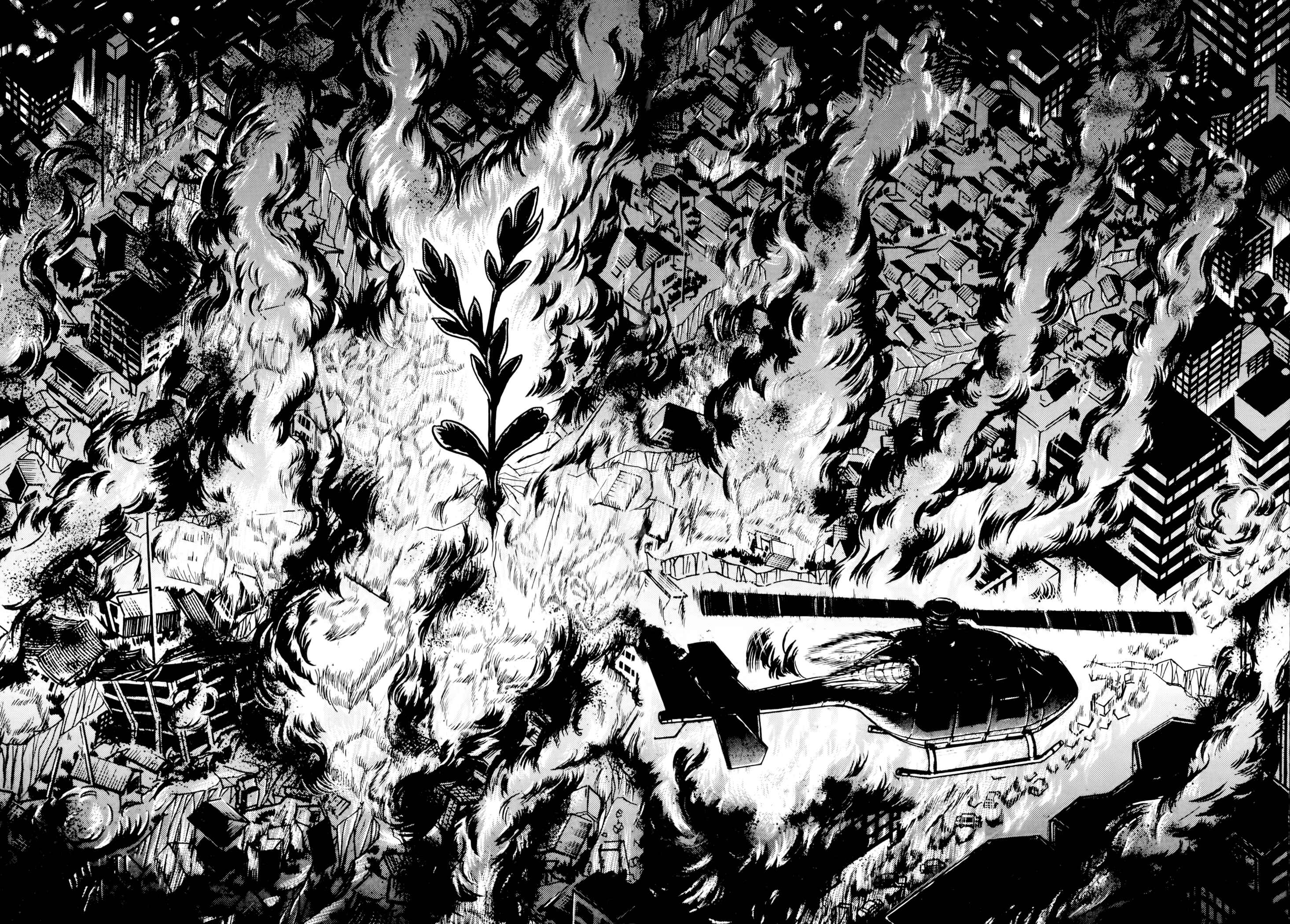 Page 22 Chapter 2 Jacarandá