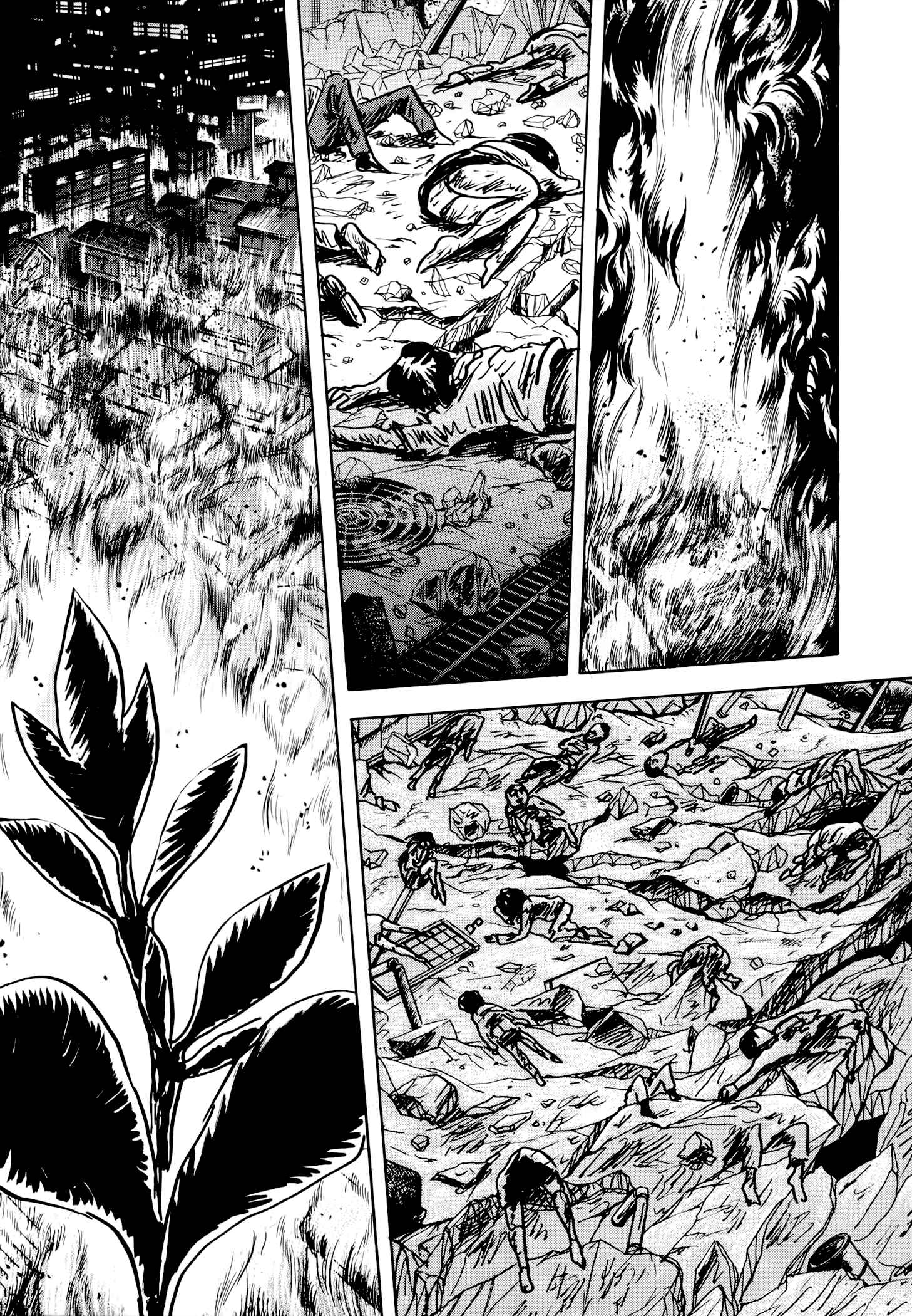 Page 6 Chapter 2 Jacarandá