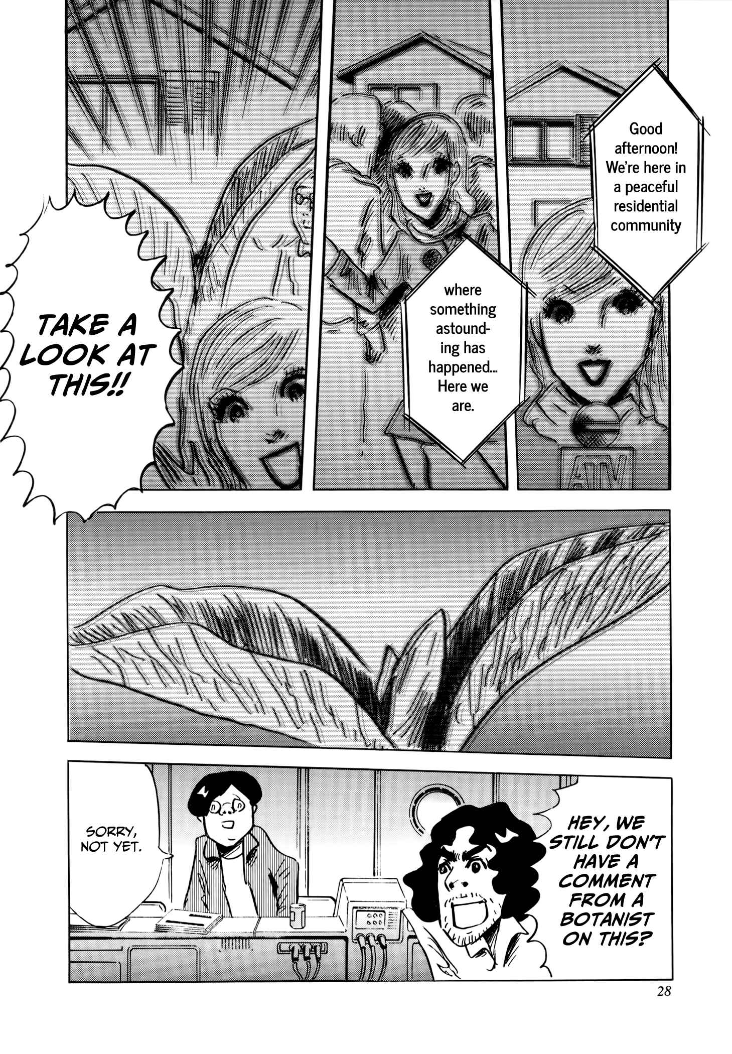 Page 30 Chapter 1 Jacarandá
