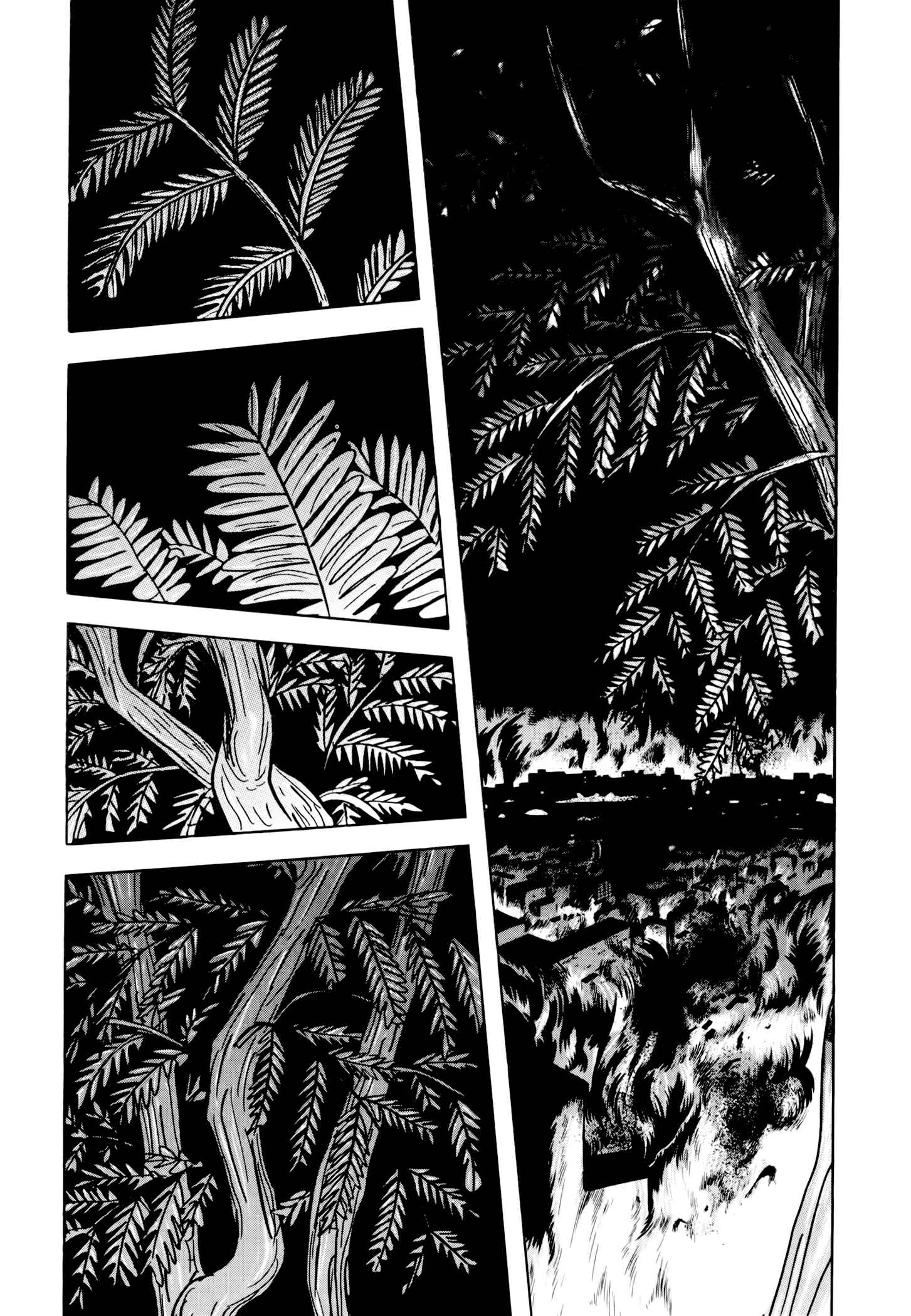 Page 54 Chapter 3 Jacarandá