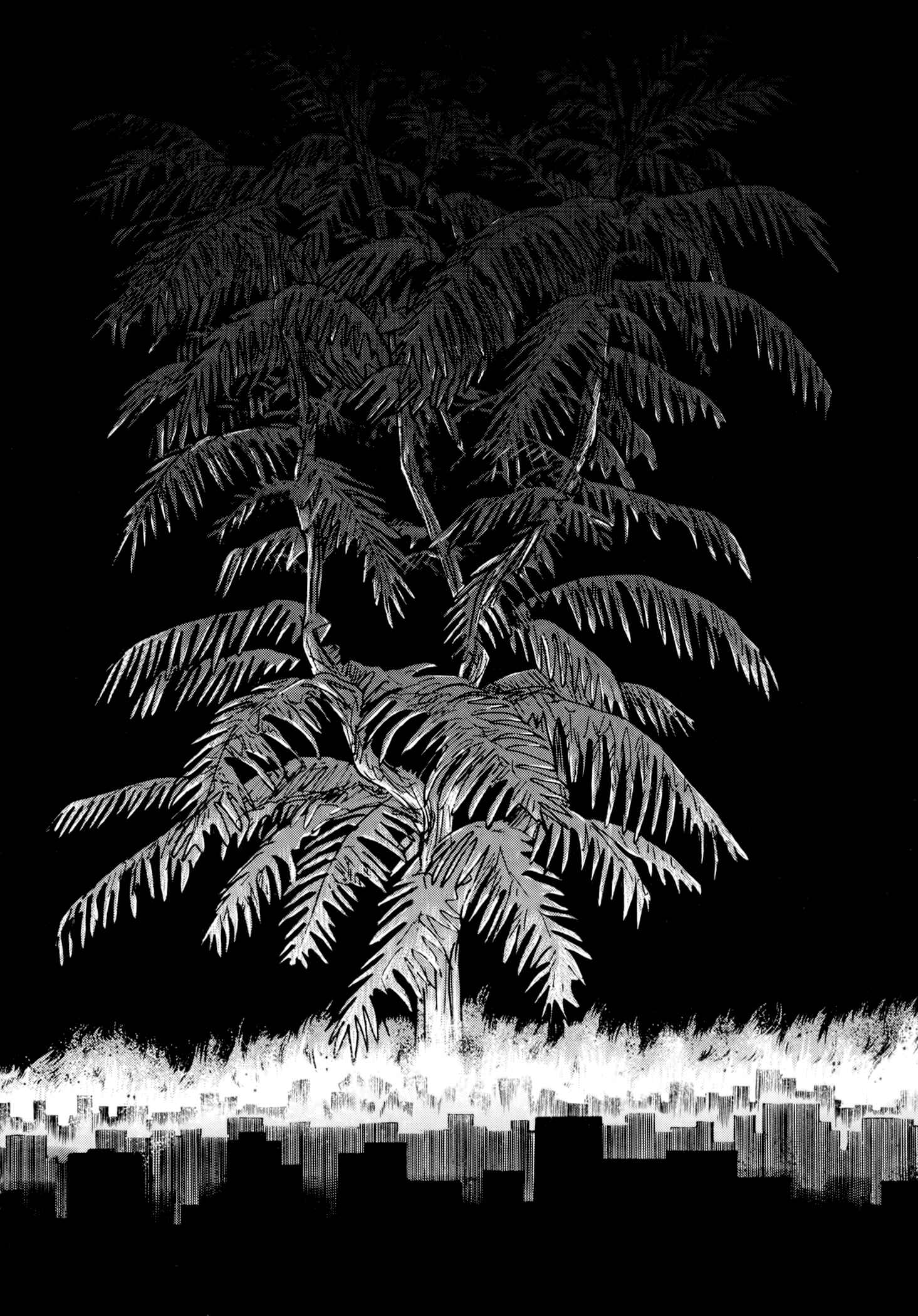 Page 55 Chapter 3 Jacarandá