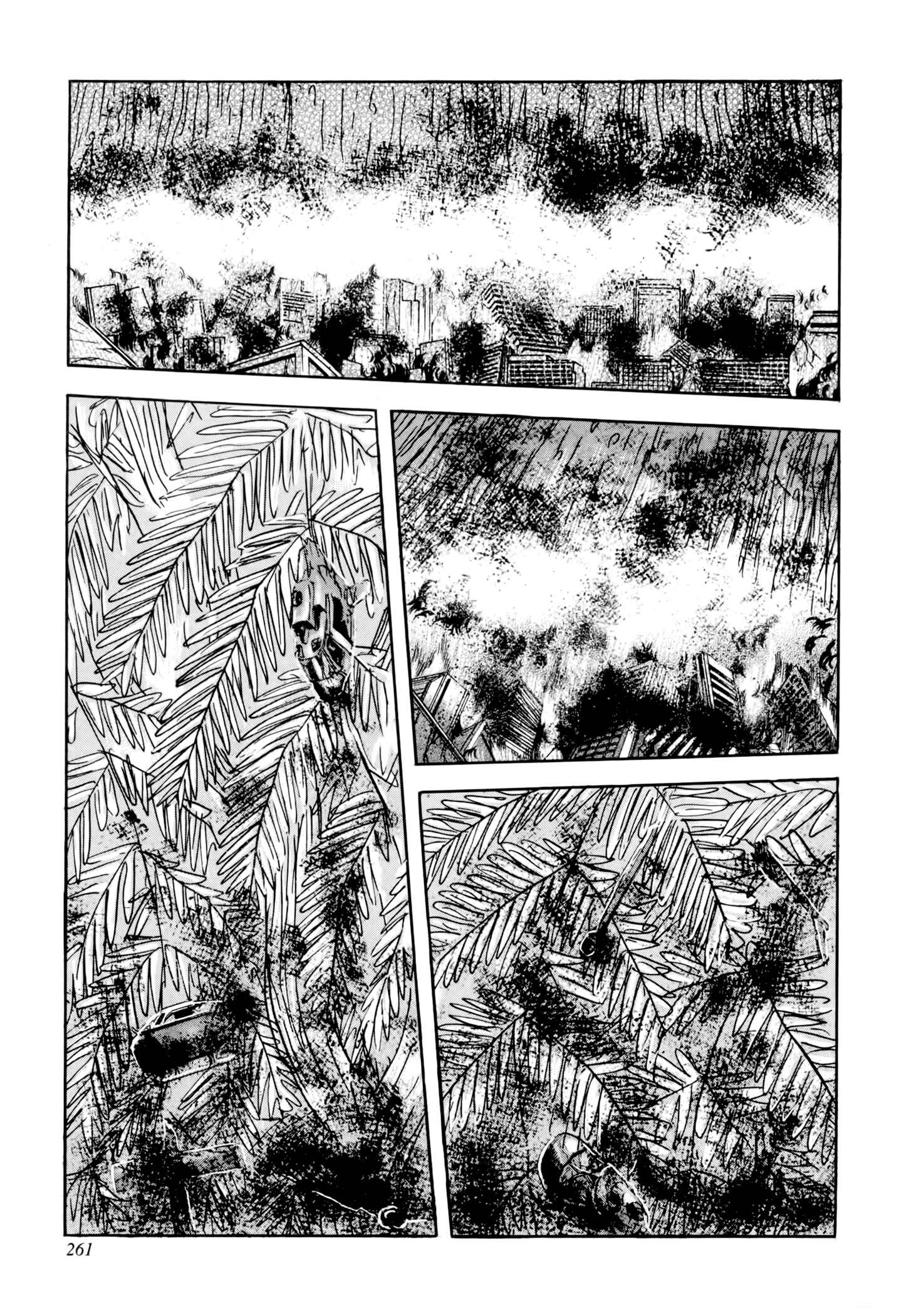 Page 23 Chapter 5 Jacarandá