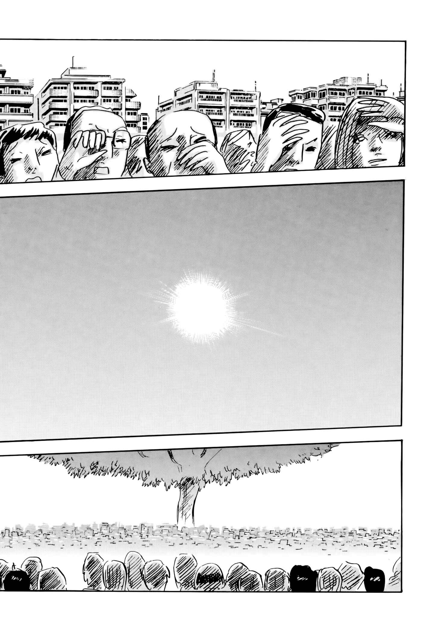 Page 37 Chapter 5 Jacarandá