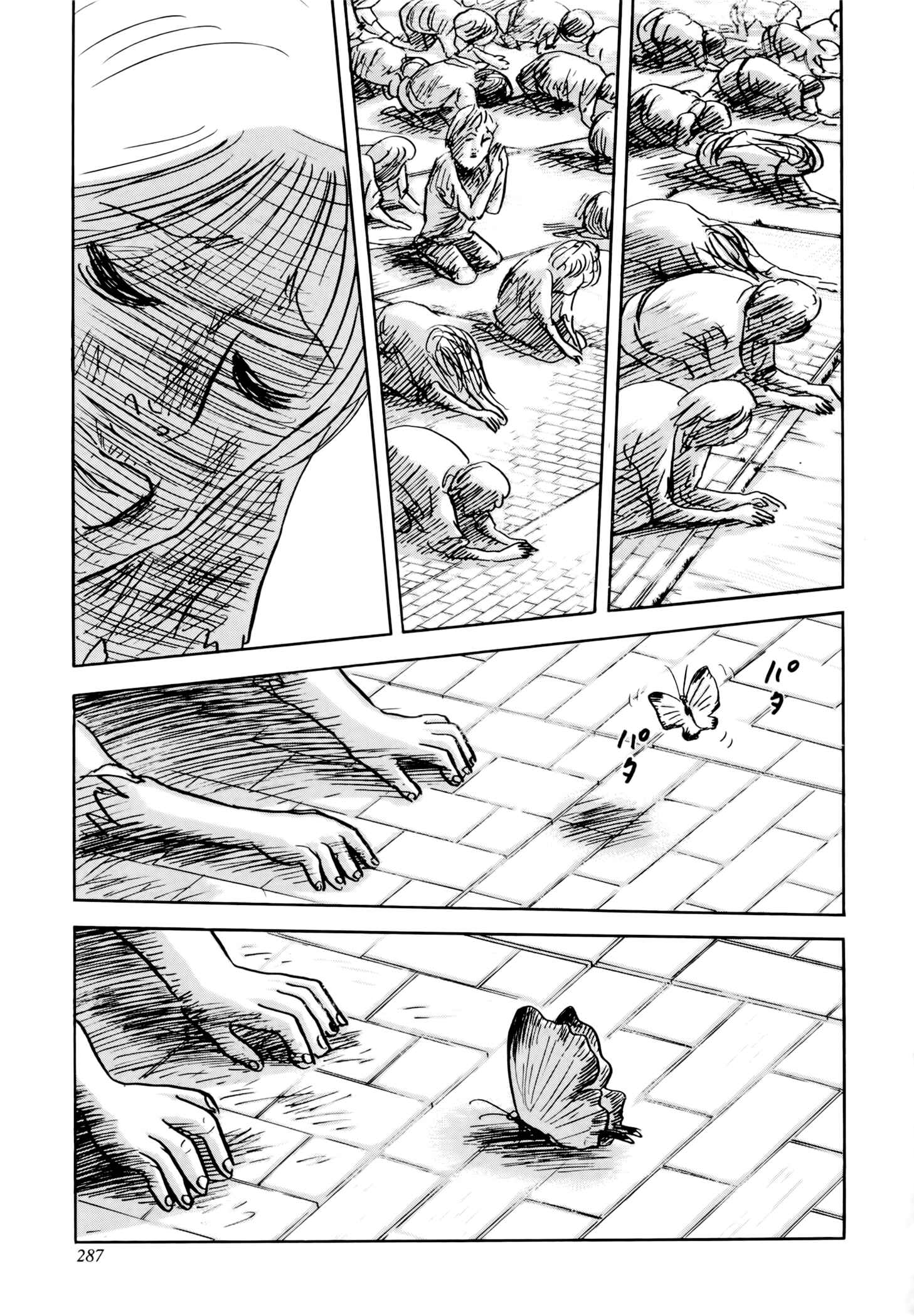 Page 48 Chapter 5 Jacarandá