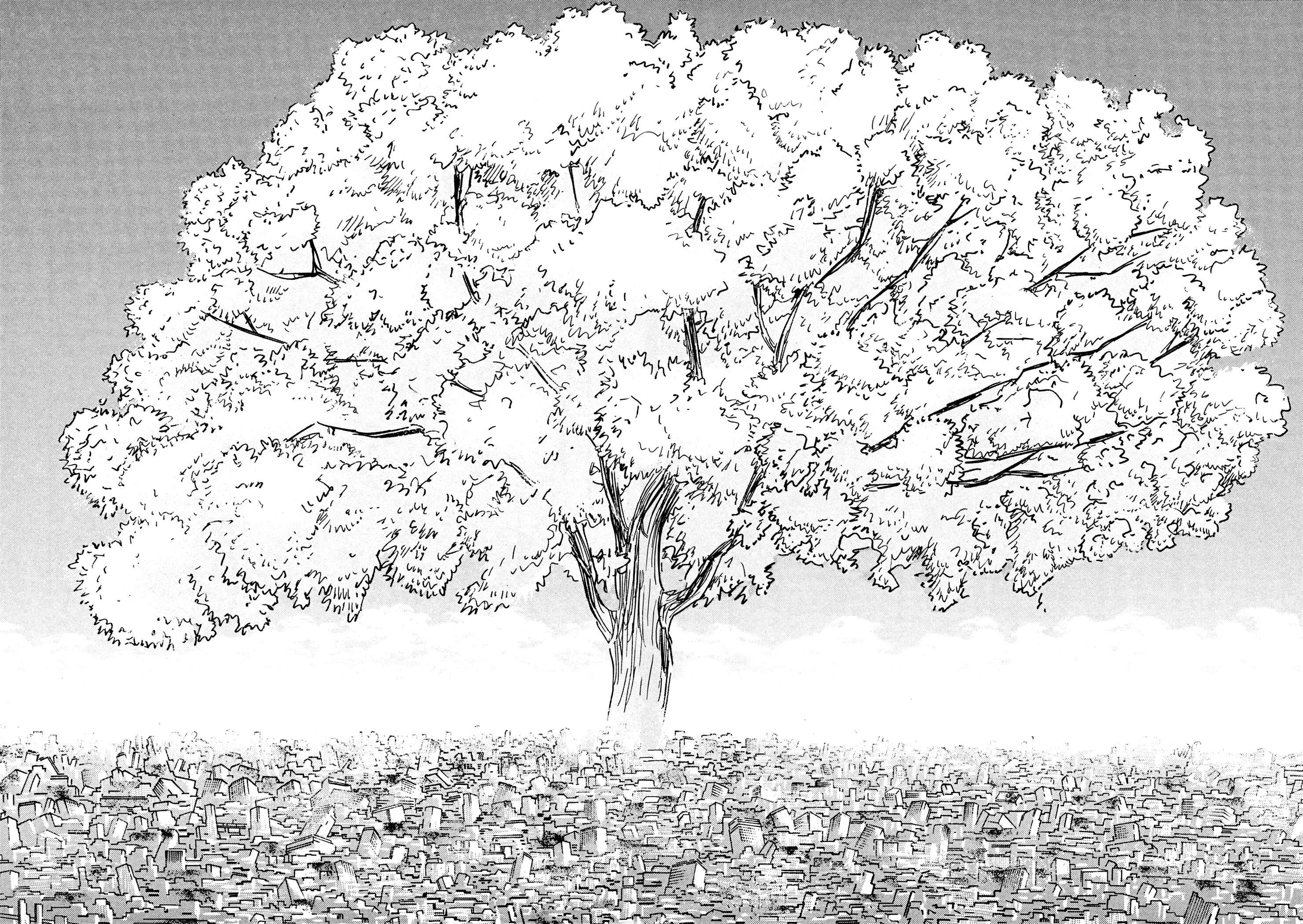 Page 50 Chapter 5 Jacarandá