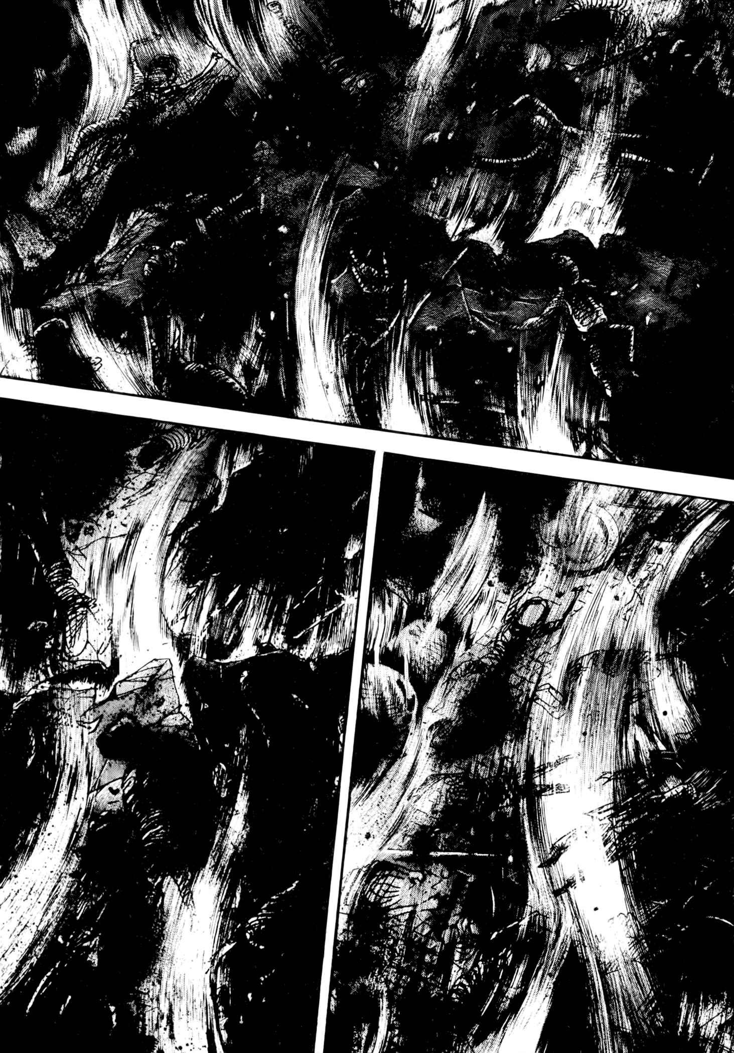 Page 52 Chapter 4 Jacarandá
