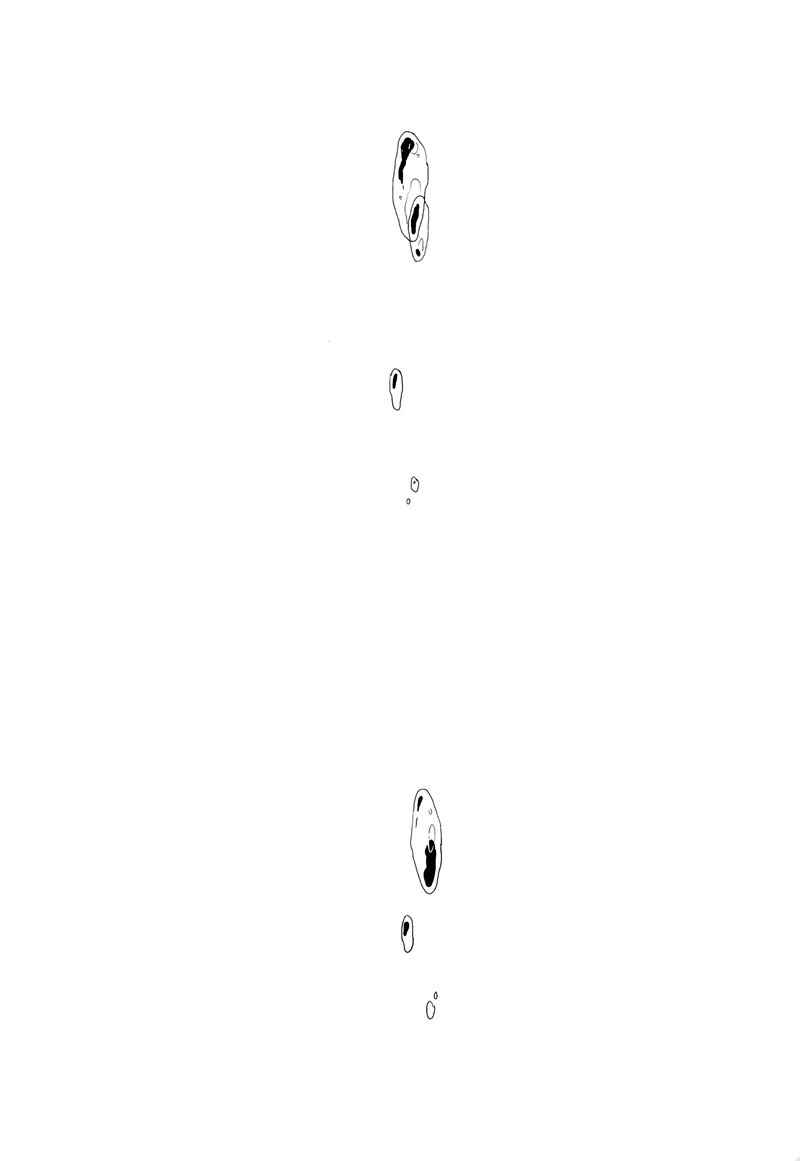 Page 17 Chapter Unknown_fdb3 Attack on Titan - Child Of The Stars (Doujinshi)