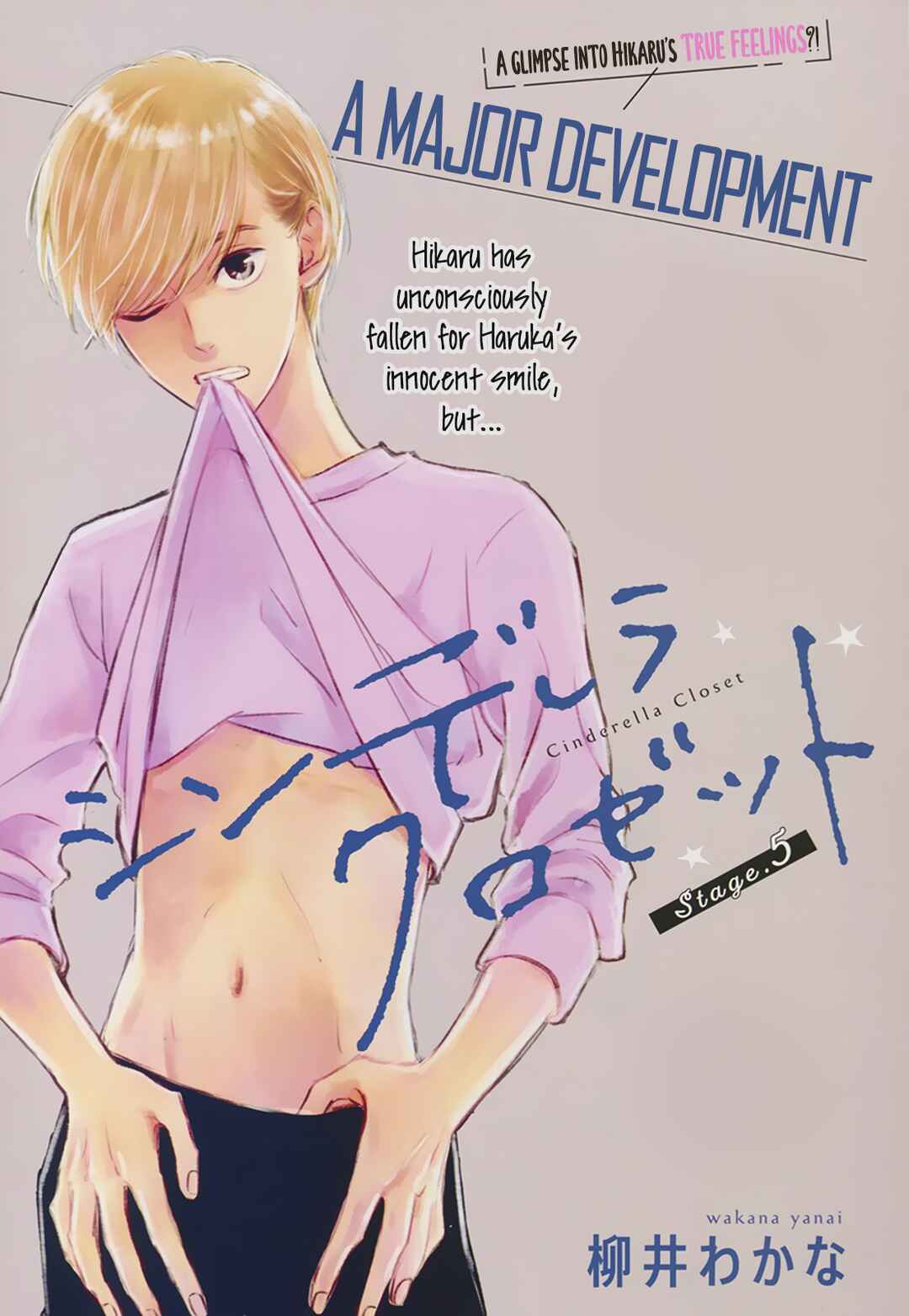 Page 2 Chapter 5 Cinderella Closet