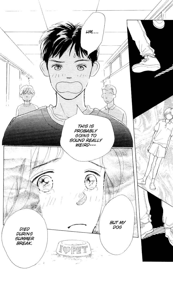 Page 57 Chapter 8 Its Ok if There Is Love