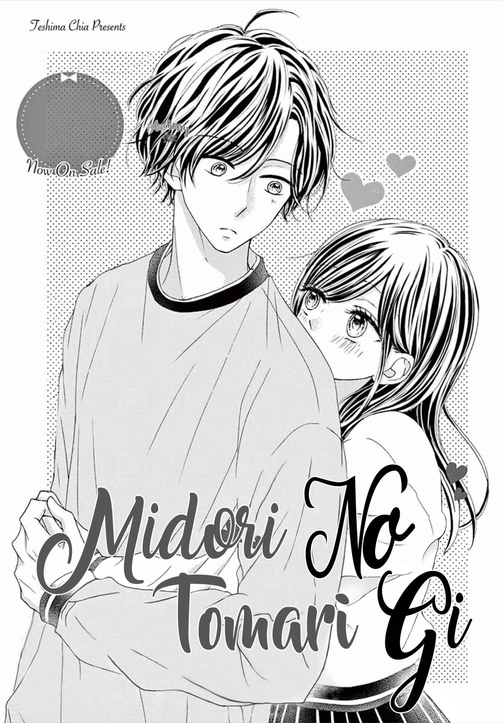 Page 3 Chapter 11 Midori no Tomarigi